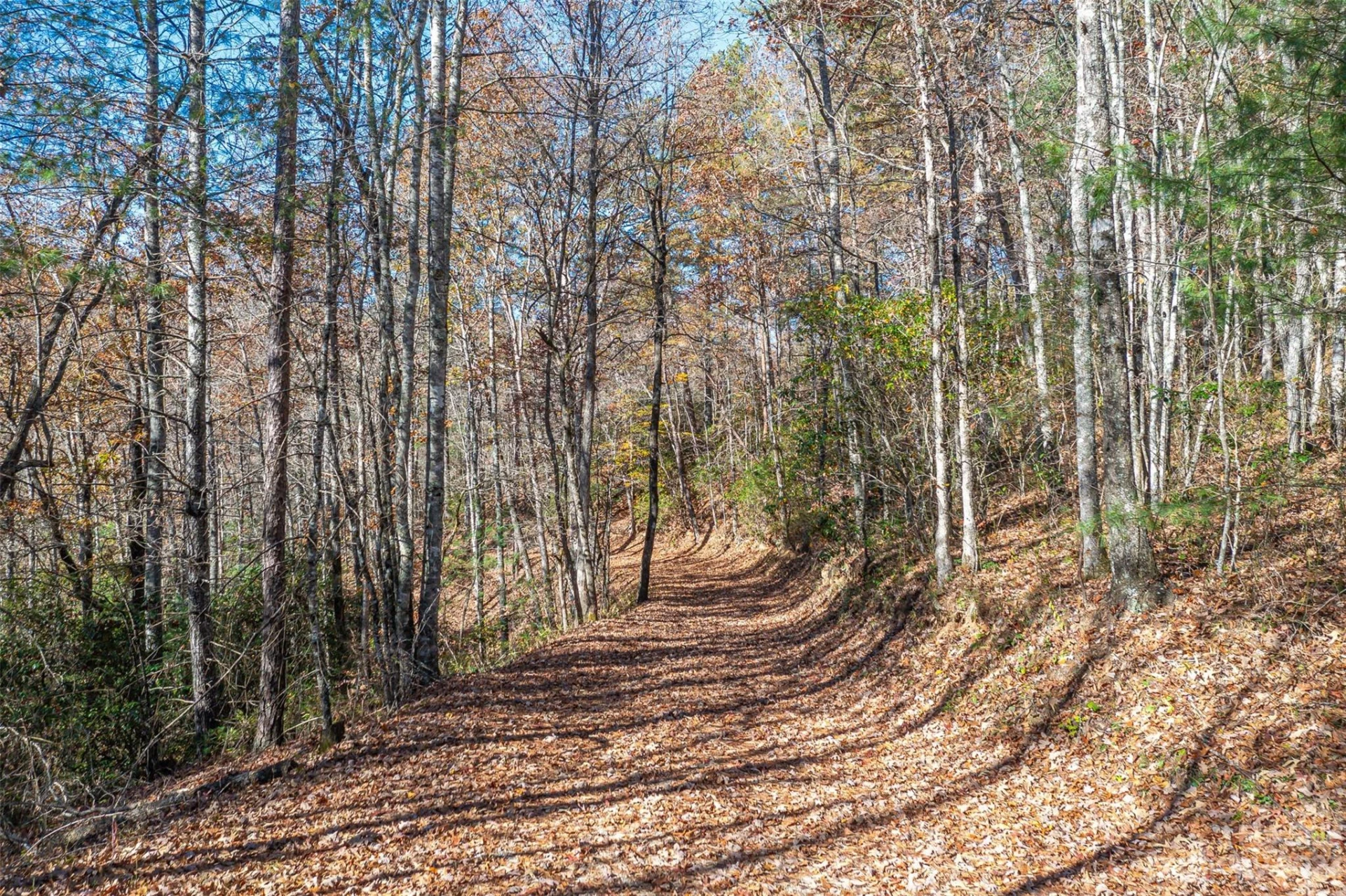 000 Needmore Road - Photo 5