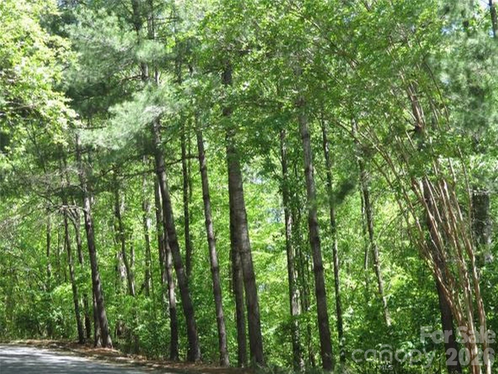 0 General Griffith Circle #25 - Photo 2