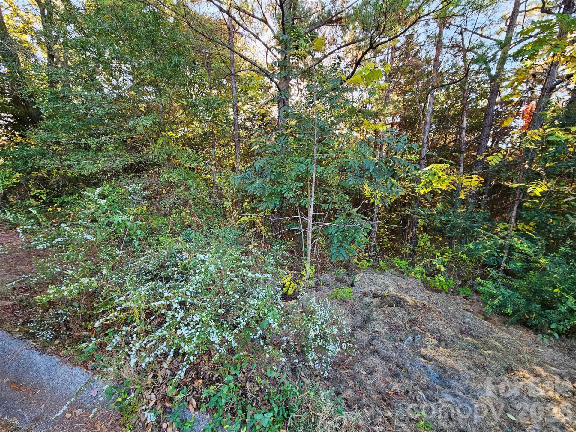 0 General Griffith Circle #25 - Photo 3