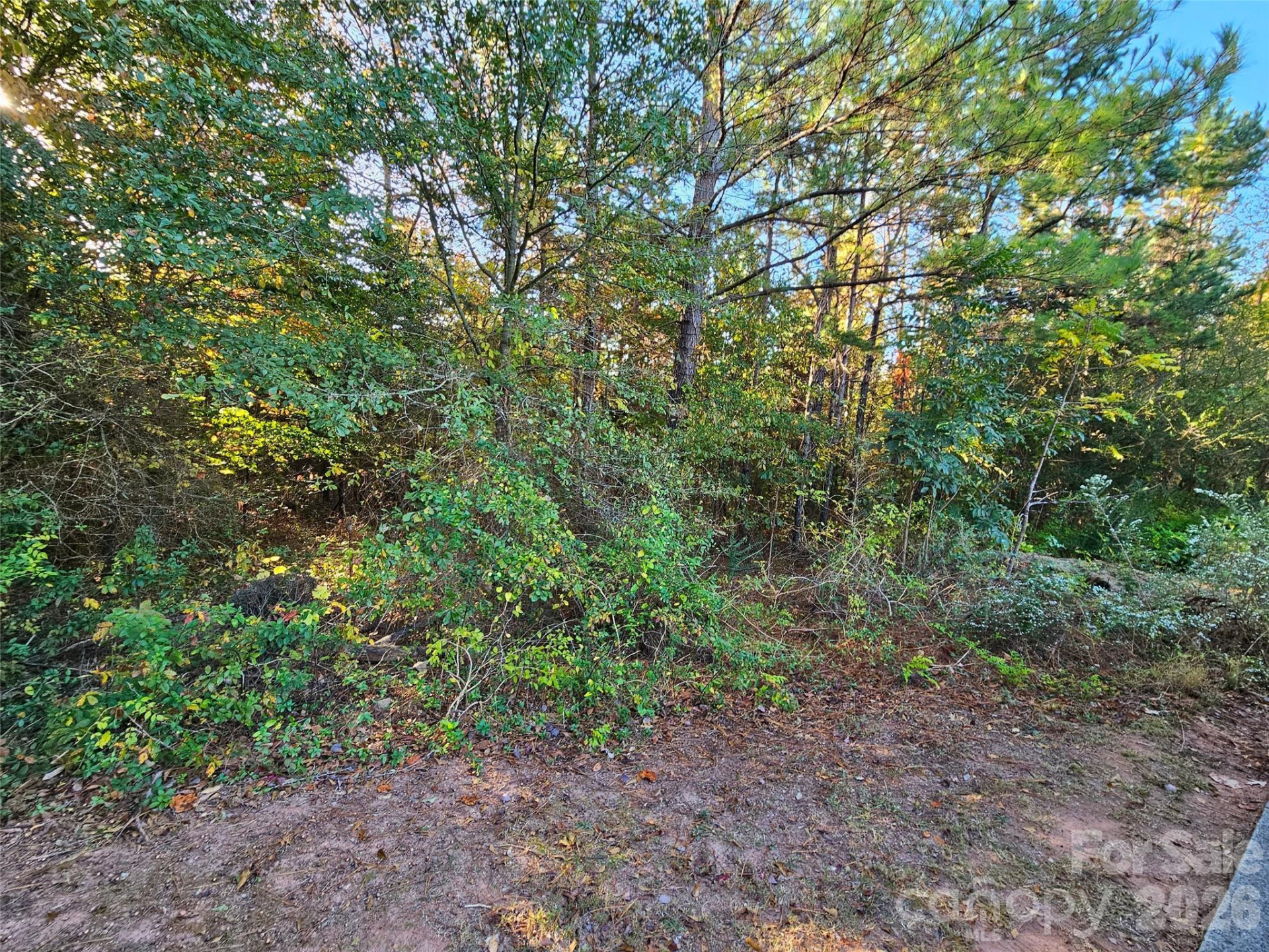 0 General Griffith Circle #25 - Photo 4