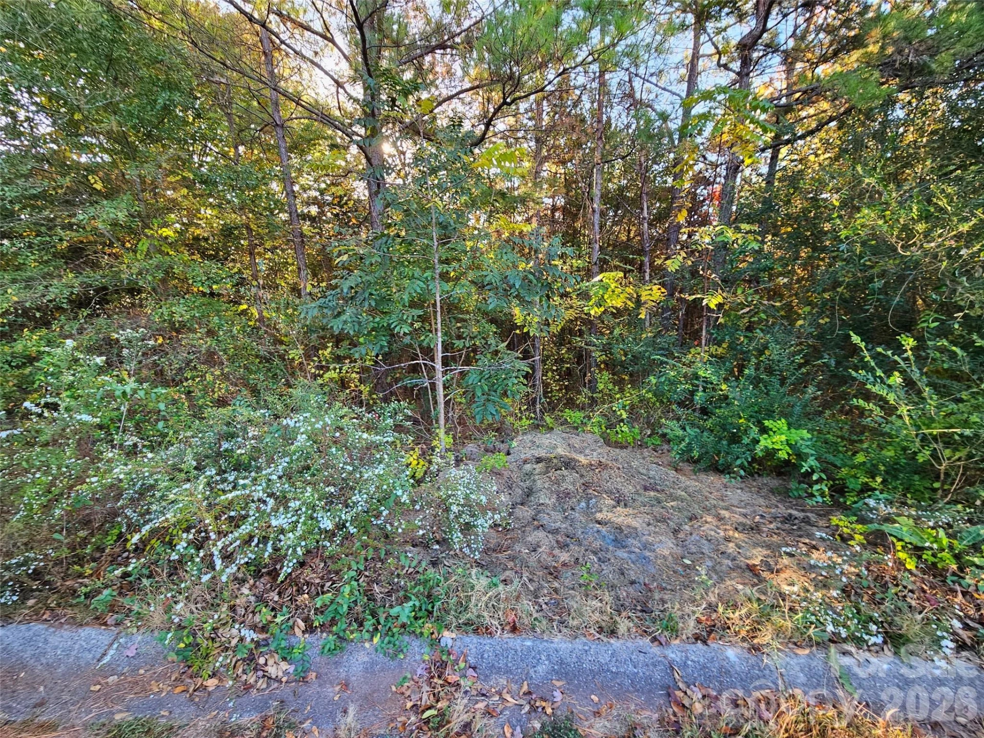 0 General Griffith Circle #25 - Photo 6