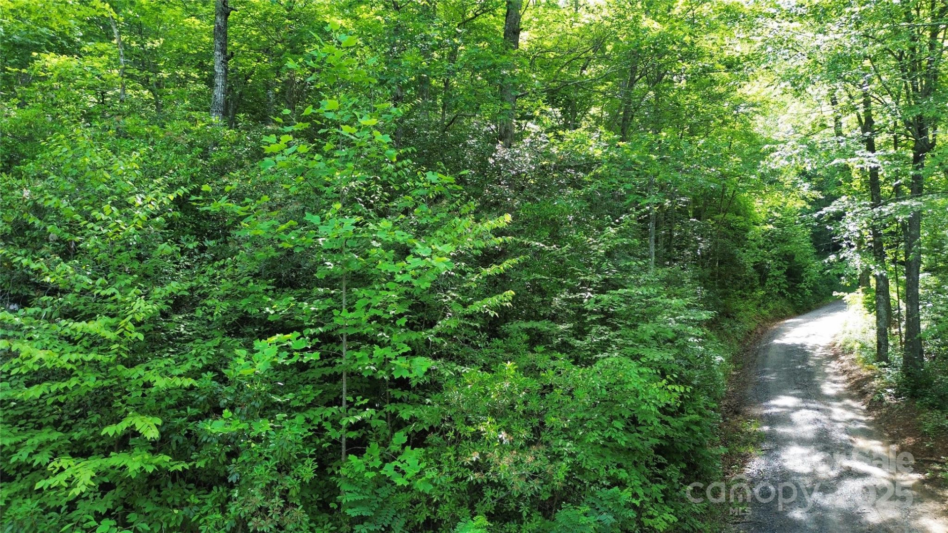 Lt 3 Falling Waters Road - Photo 3