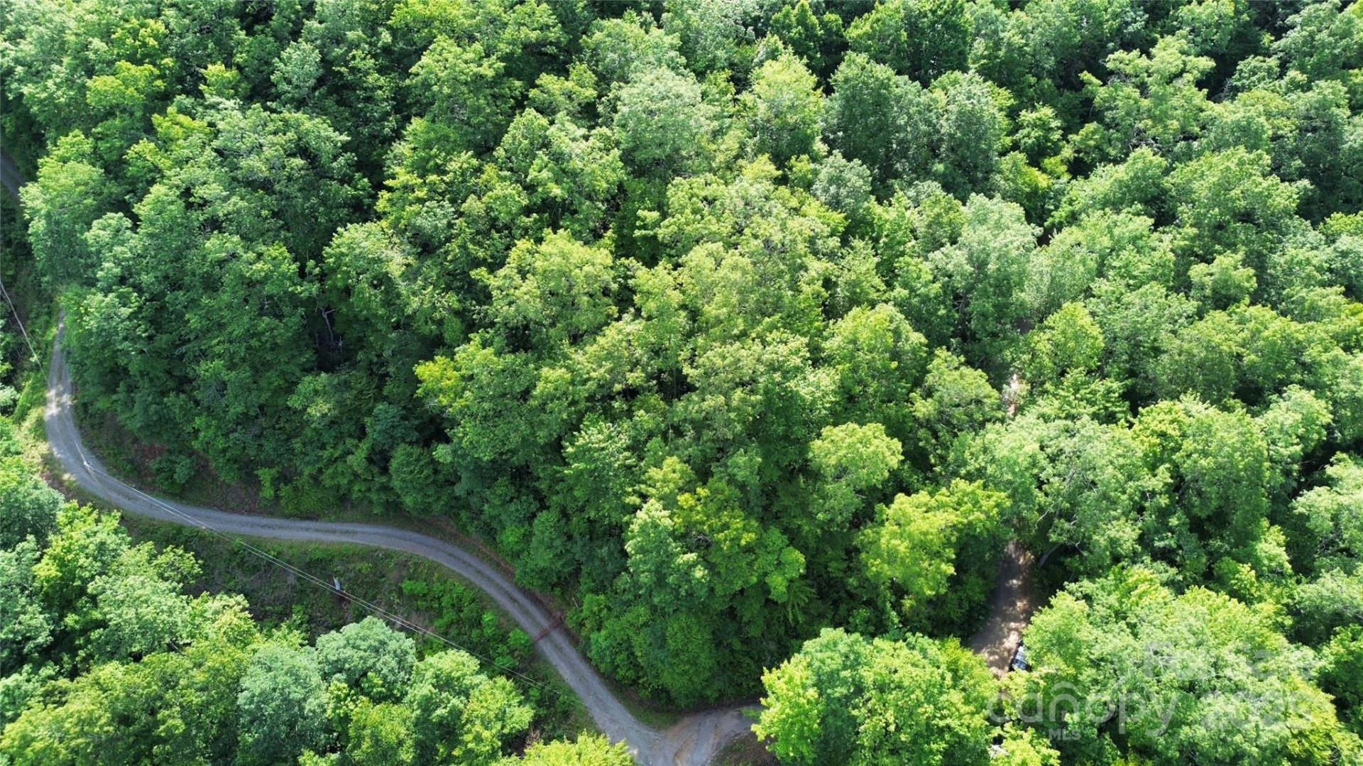 Lt 3 Falling Waters Road - Photo 4