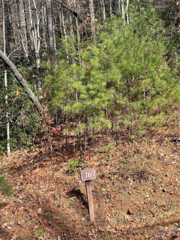 0000 Juniper Berry Lane