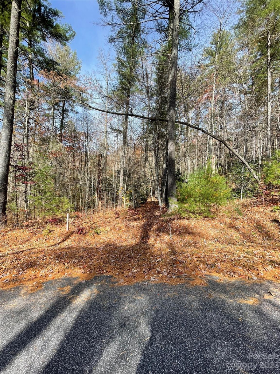 0000 Juniper Berry Lane - Photo 2