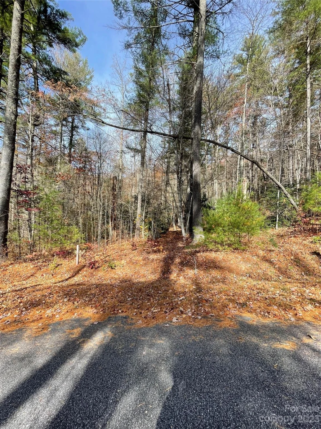 0000 Juniper Berry Lane - Photo 2