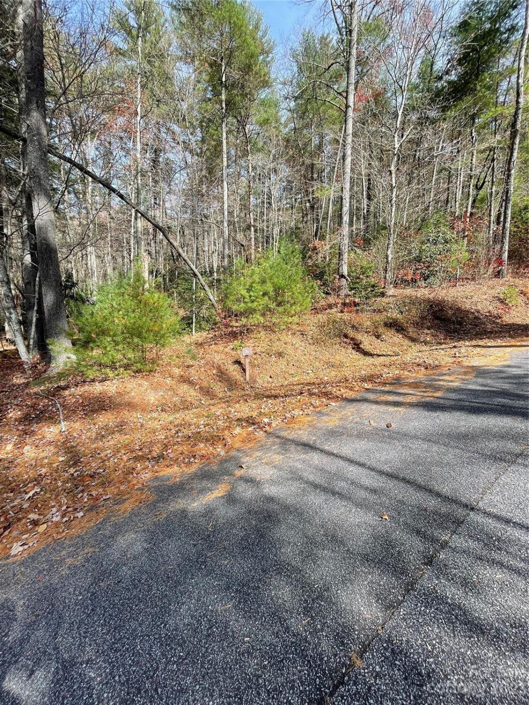 0000 Juniper Berry Lane - Photo 3