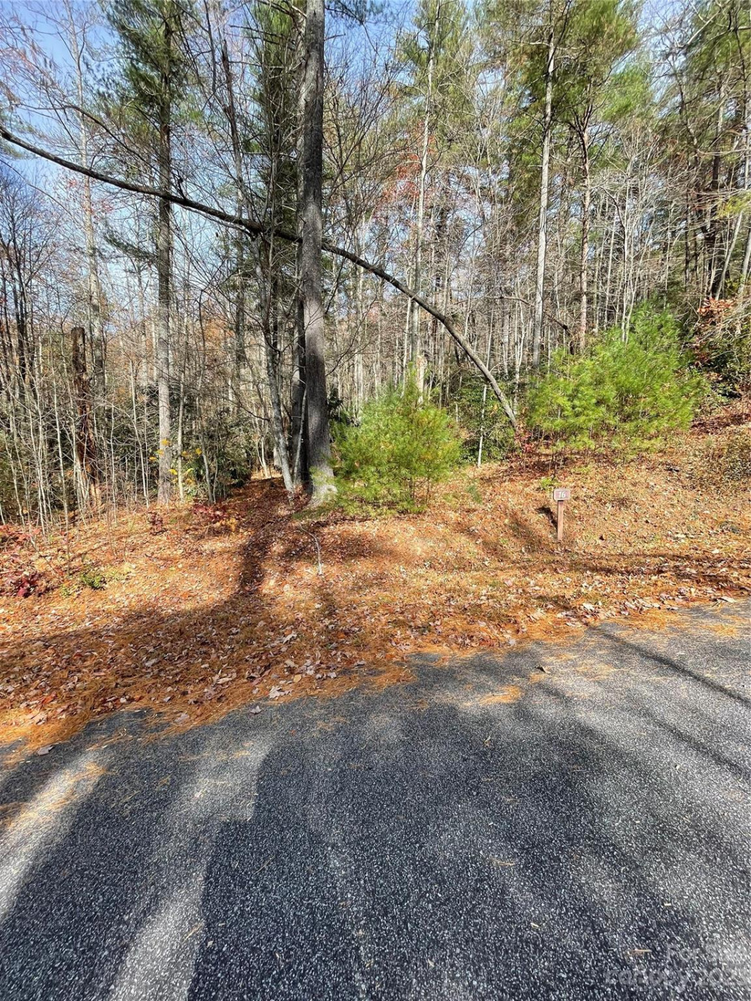 0000 Juniper Berry Lane - Photo 4