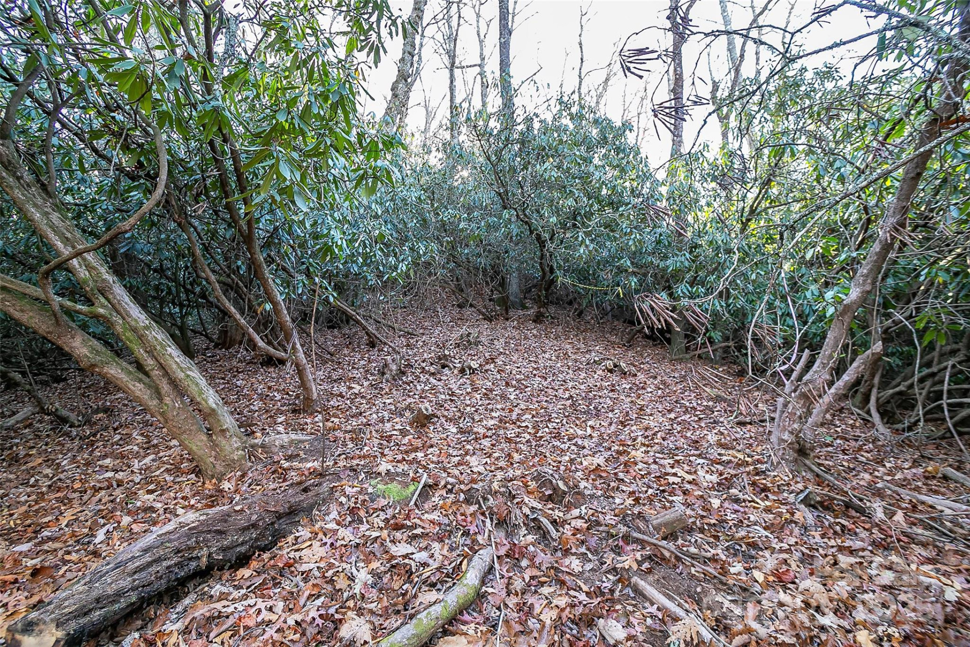 TBD Dundee Lane #6A - Photo 2