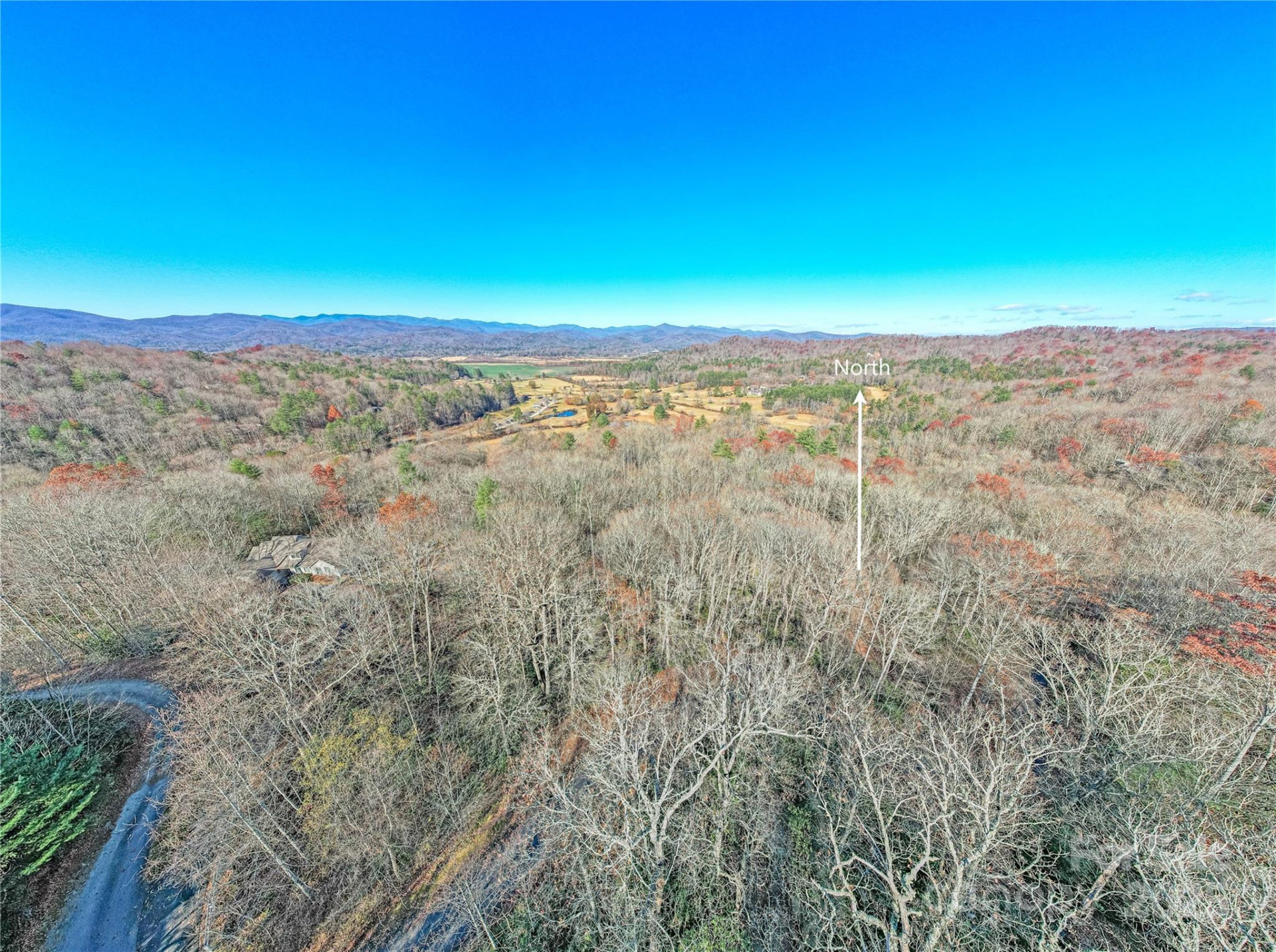 TBD Dundee Lane #6A - Photo 6