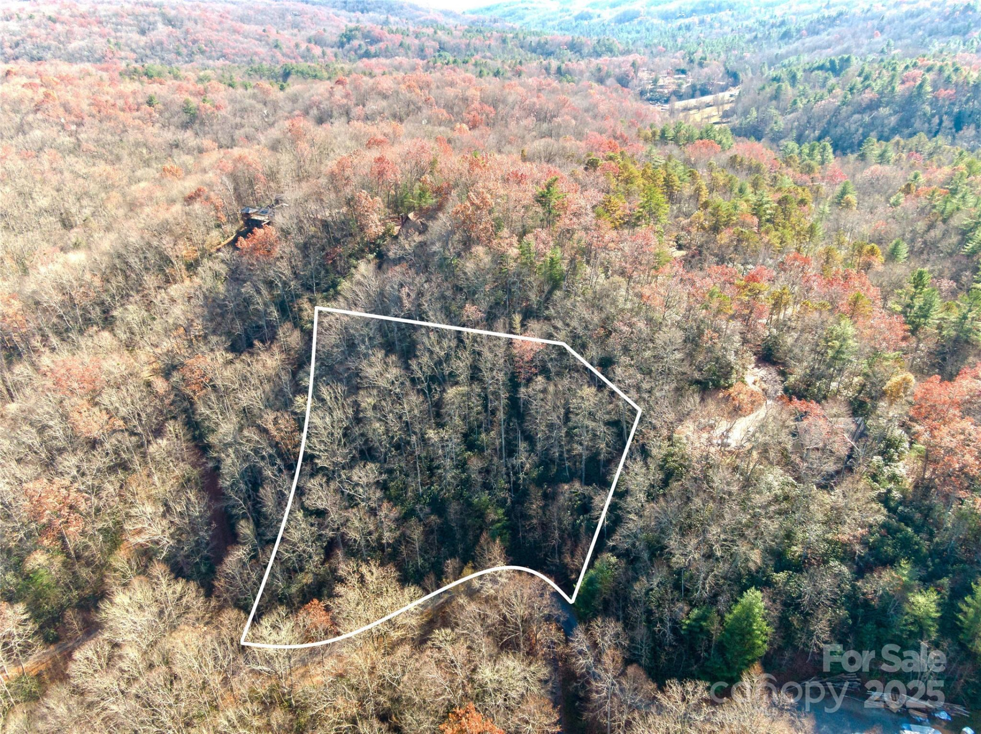 TBD Dundee Lane #6A - Photo 9