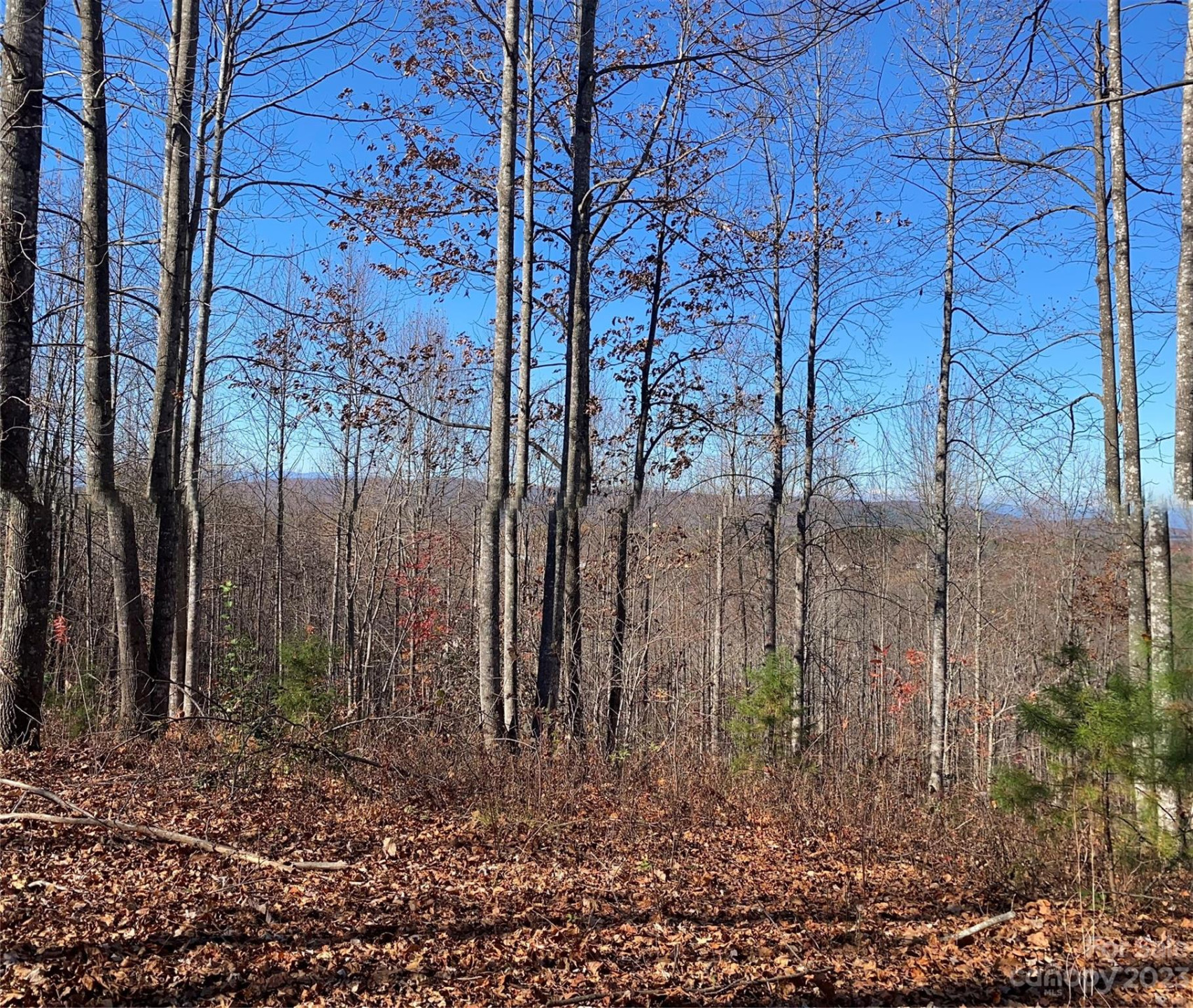 TBD Meditation Ridge Drive #43 - Photo 2