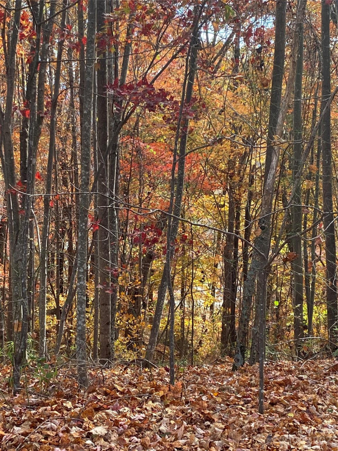 TBD Meditation Ridge Drive #43 - Photo 12