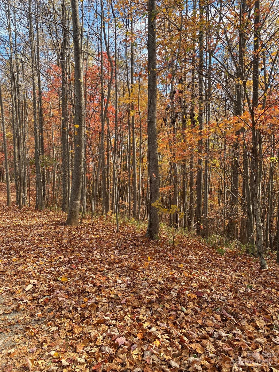 TBD Meditation Ridge Drive #43 - Photo 13