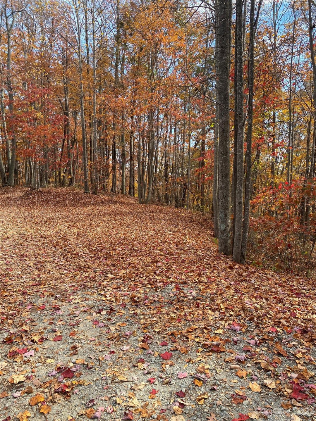 TBD Meditation Ridge Drive #43 - Photo 14