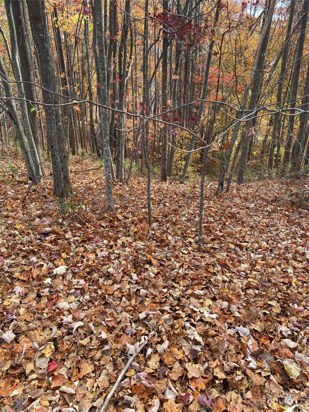 TBD Meditation Ridge Drive #43 - Photo 15