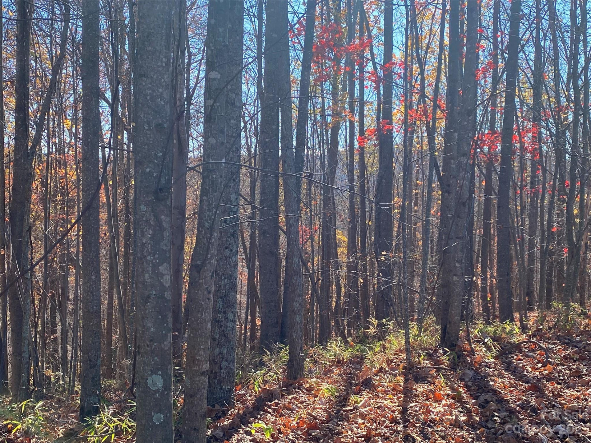 TBD Meditation Ridge Drive #43 - Photo 4