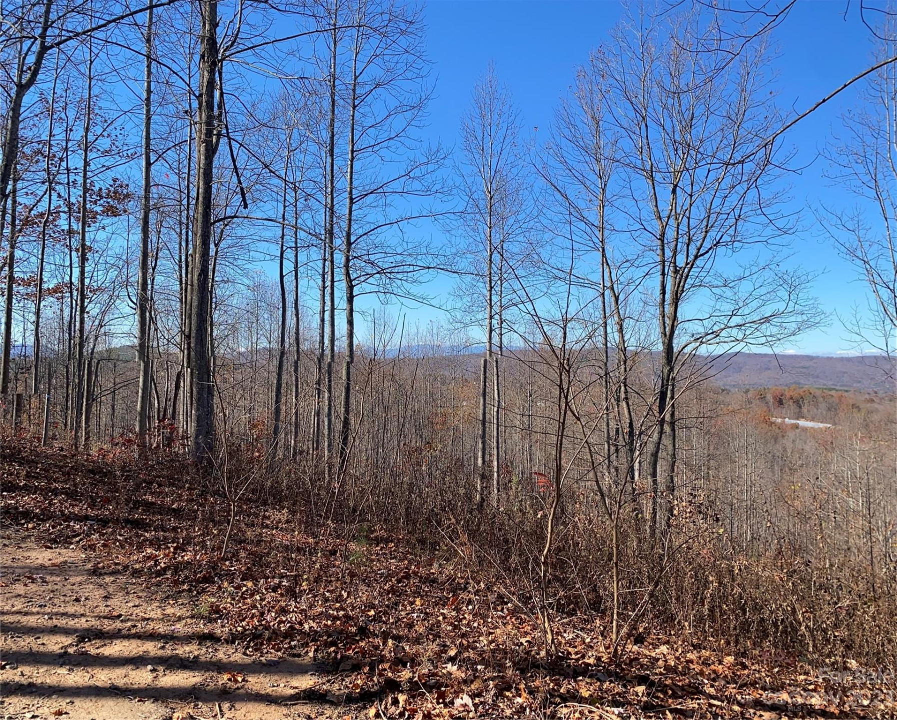 TBD Meditation Ridge Drive #43 - Photo 5