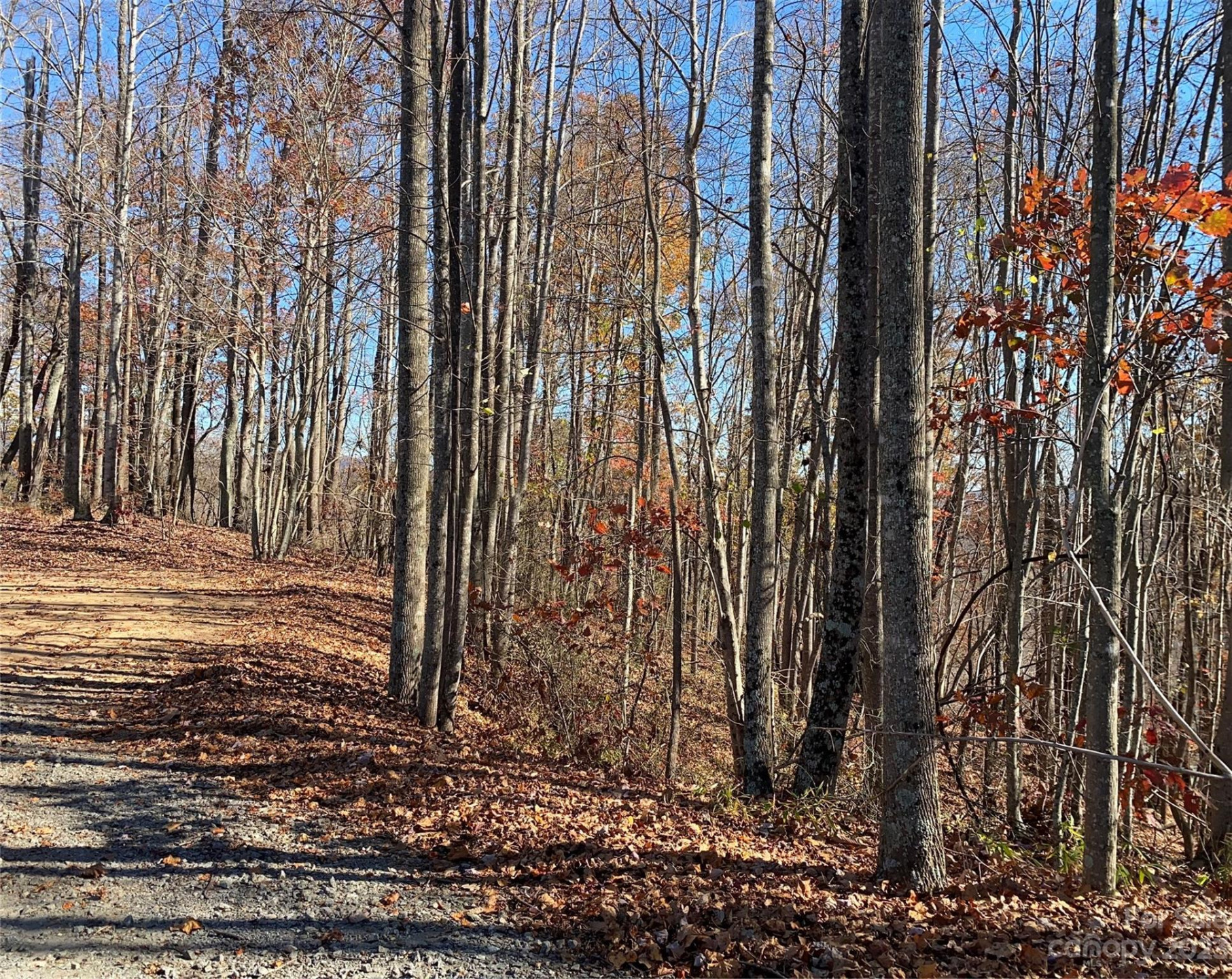 TBD Meditation Ridge Drive #43 - Photo 9