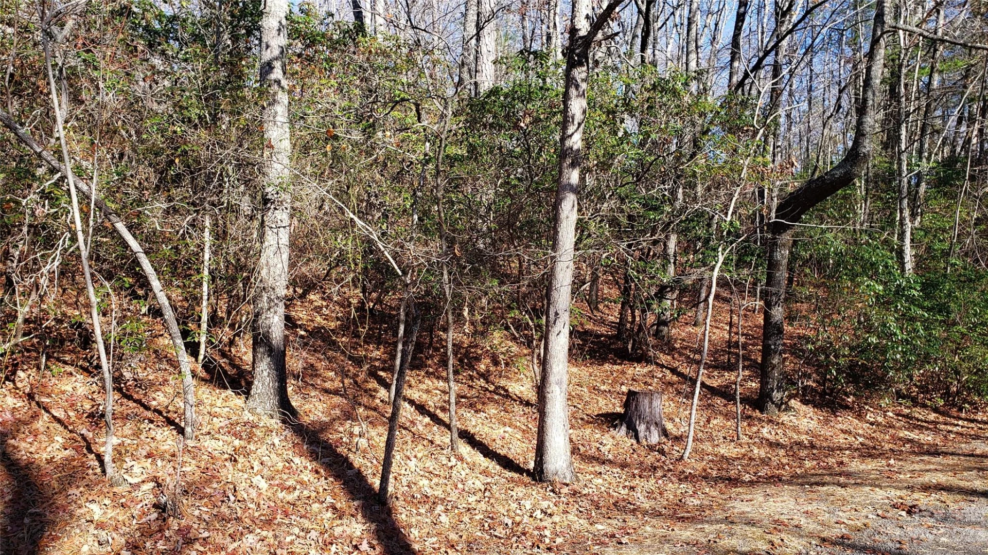 9999 Galax Lane #G-11