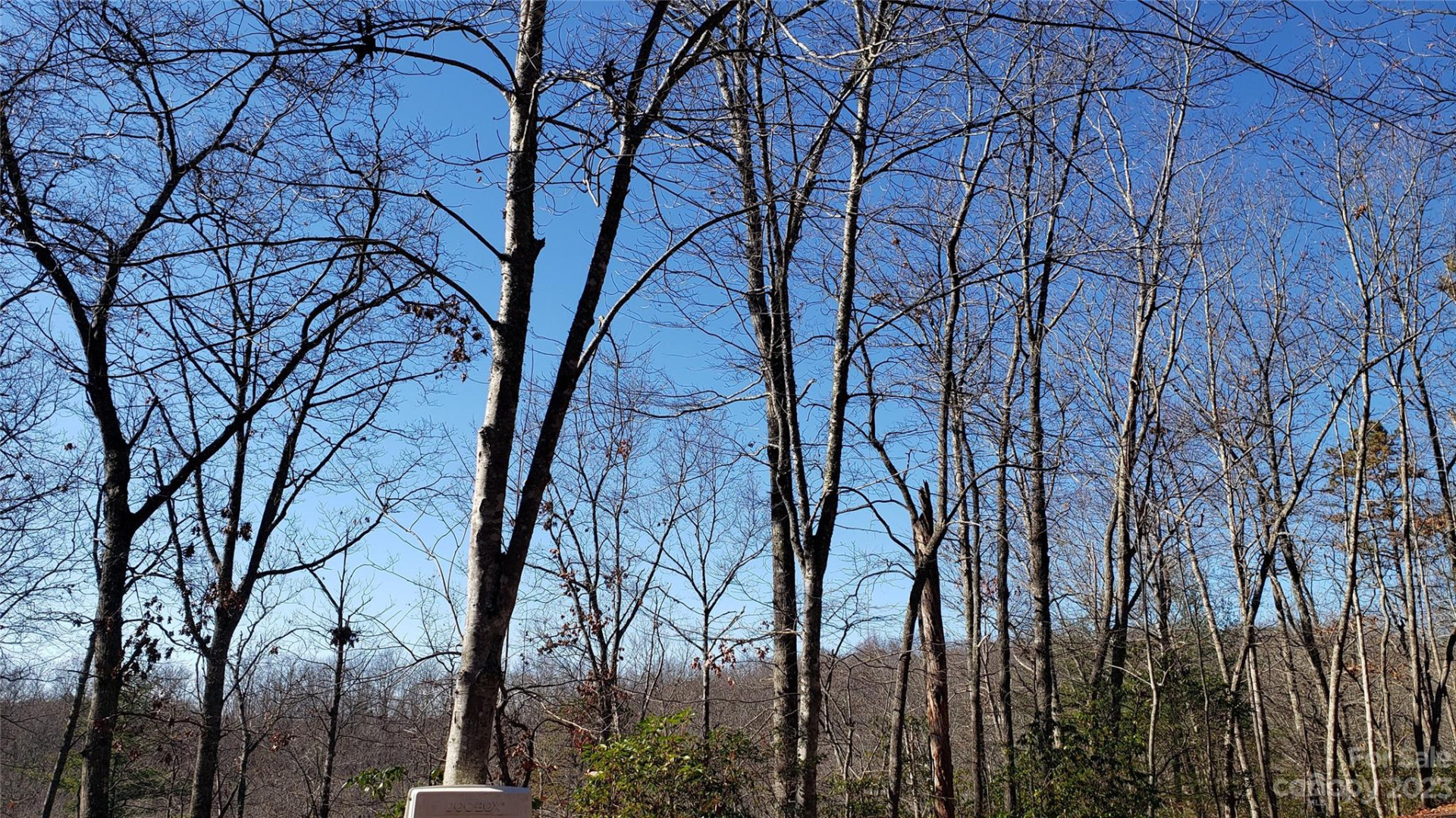 9999 Galax Lane #G-11 - Photo 2