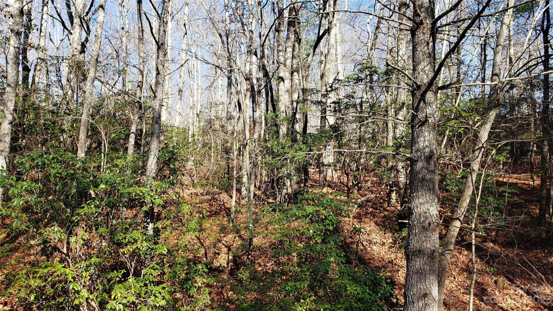 9999 Galax Lane #G-11 - Photo 13