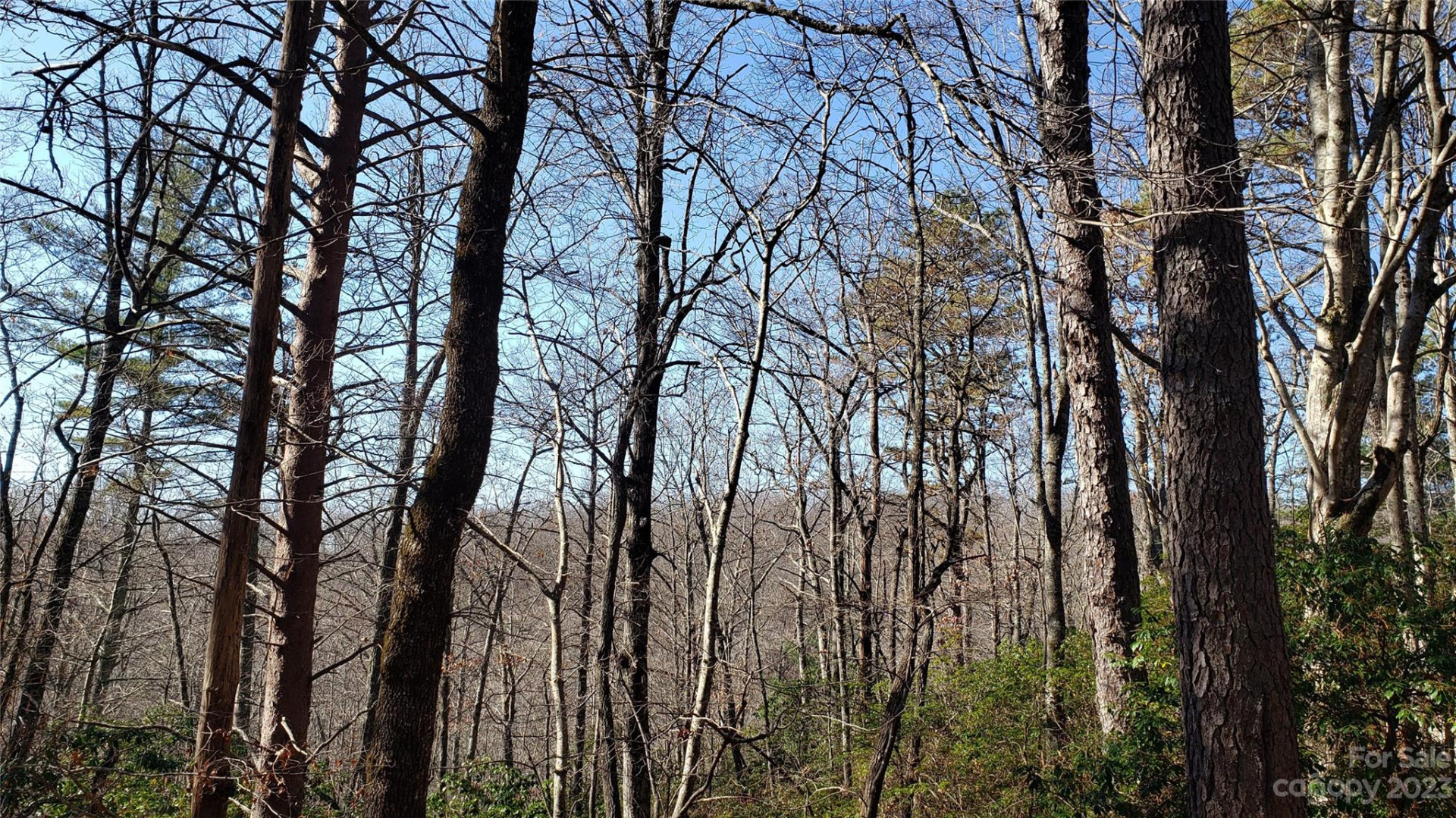 9999 Galax Lane #G-11 - Photo 14