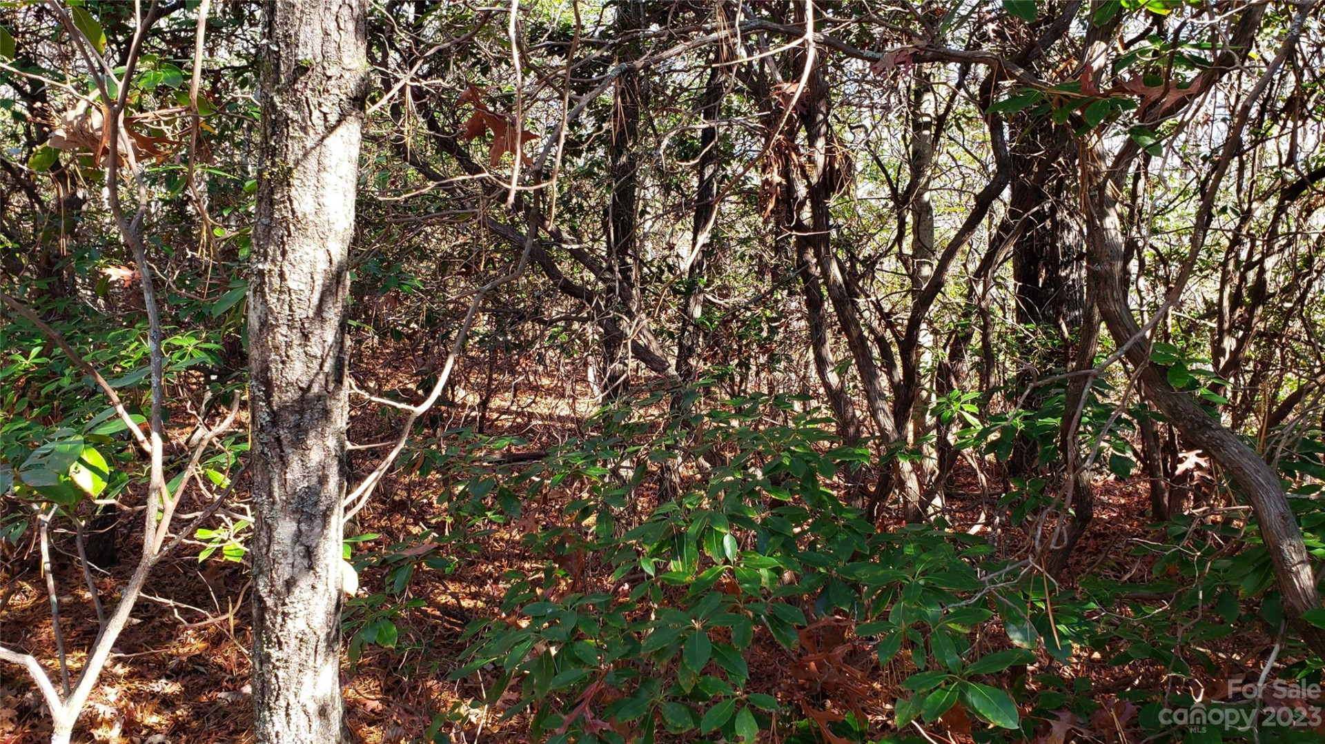 9999 Galax Lane #G-11 - Photo 15