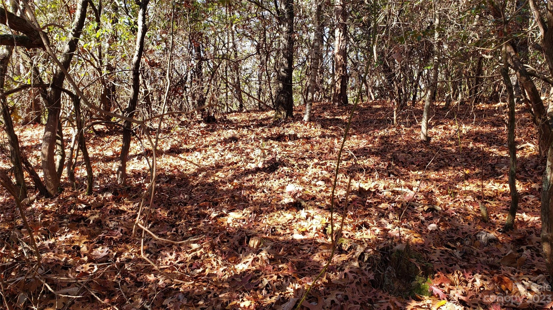 9999 Galax Lane #G-11 - Photo 17