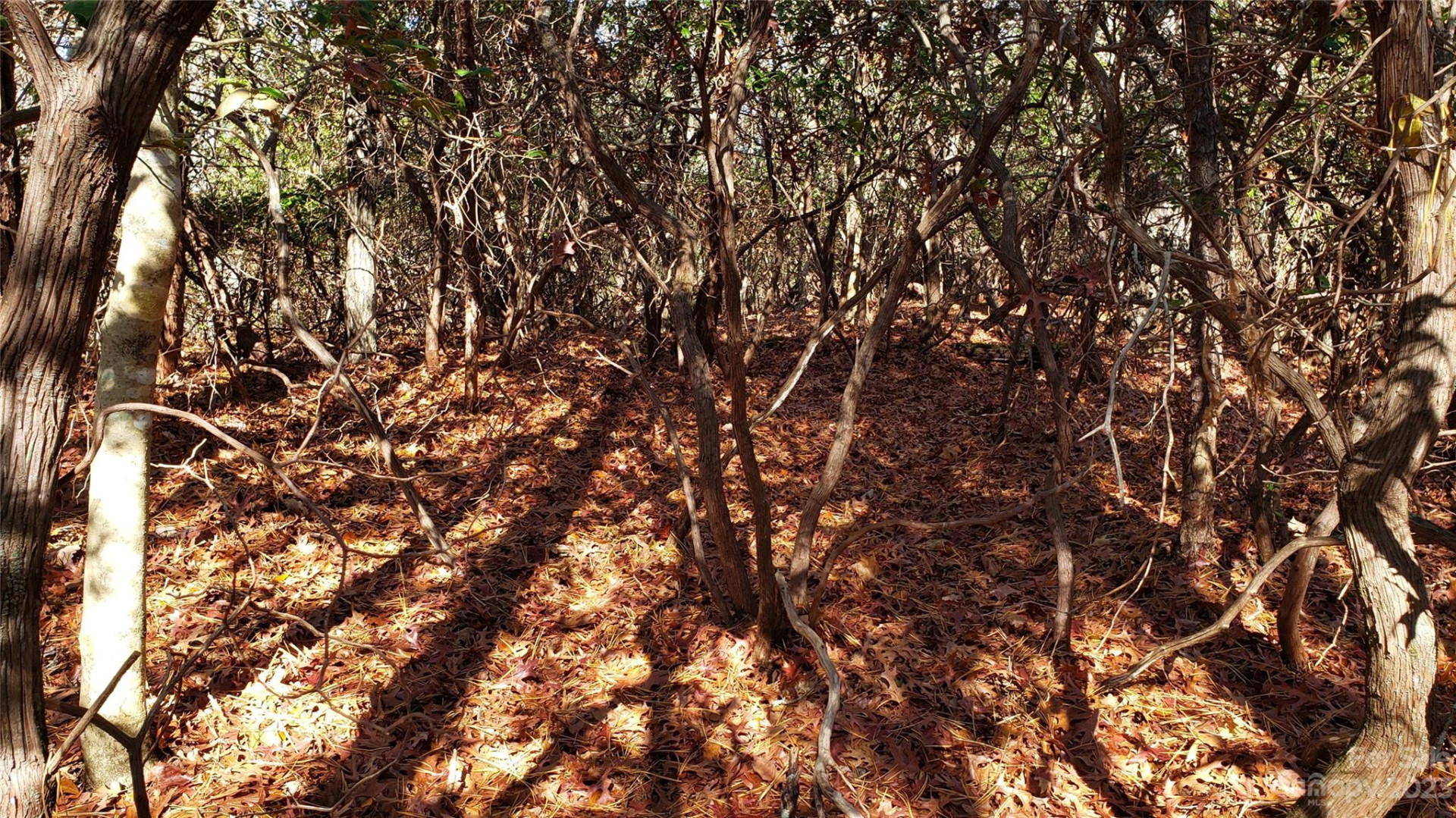 9999 Galax Lane #G-11 - Photo 18