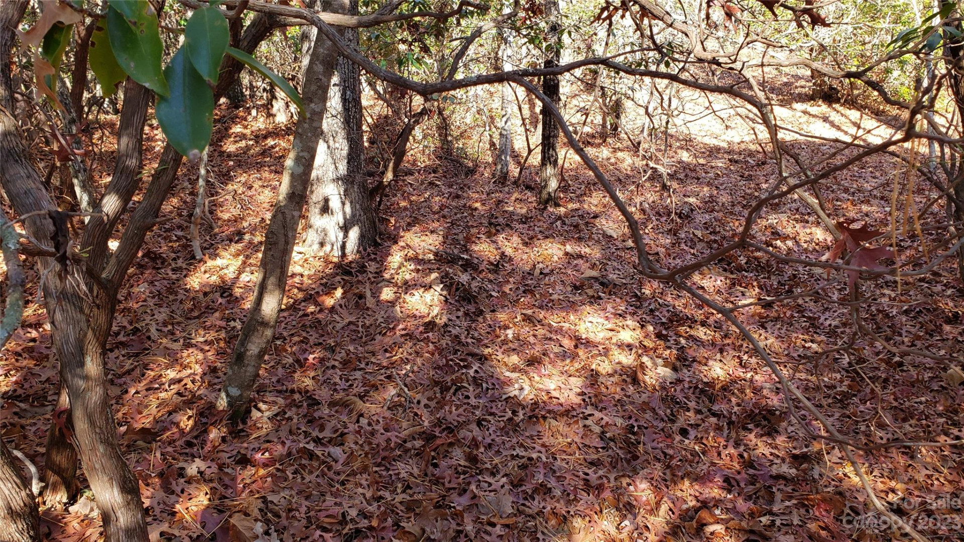 9999 Galax Lane #G-11 - Photo 20