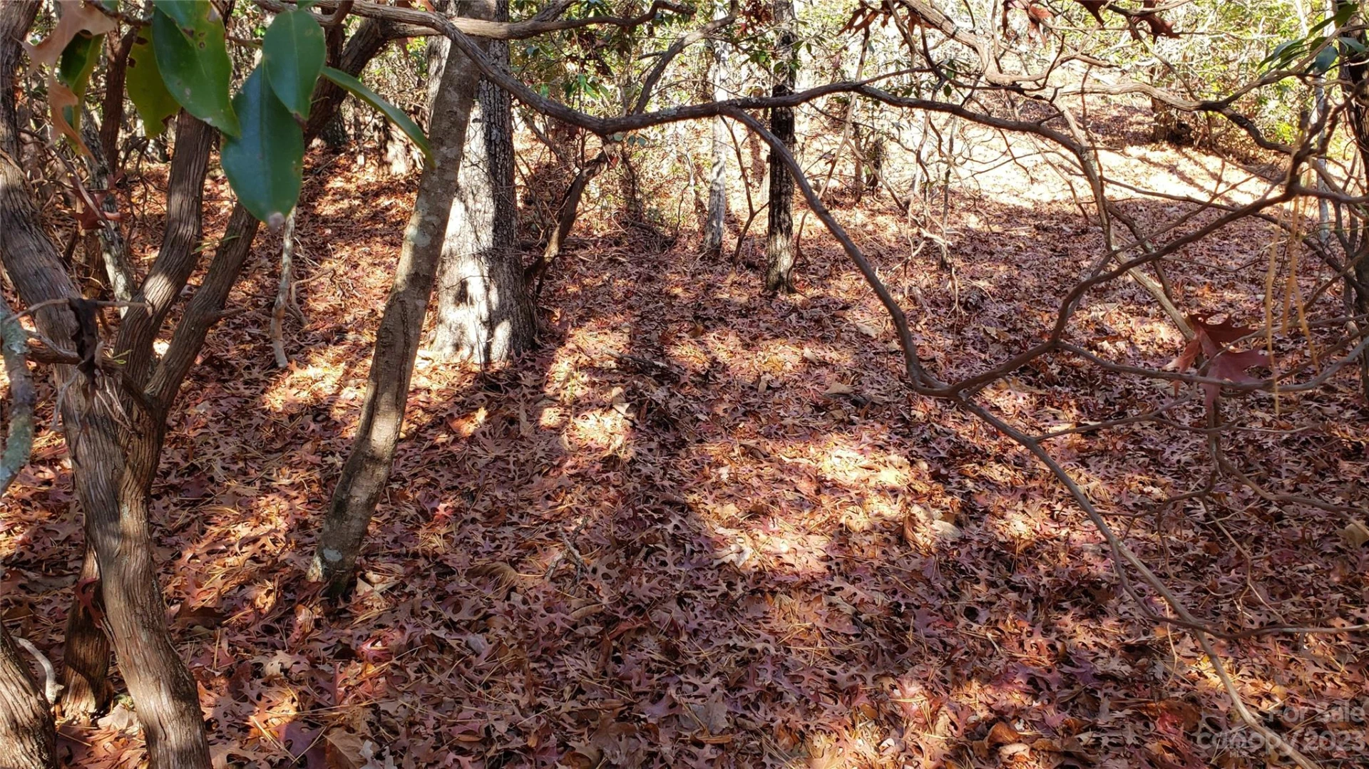 9999 Galax Lane #G-11 - Photo 20