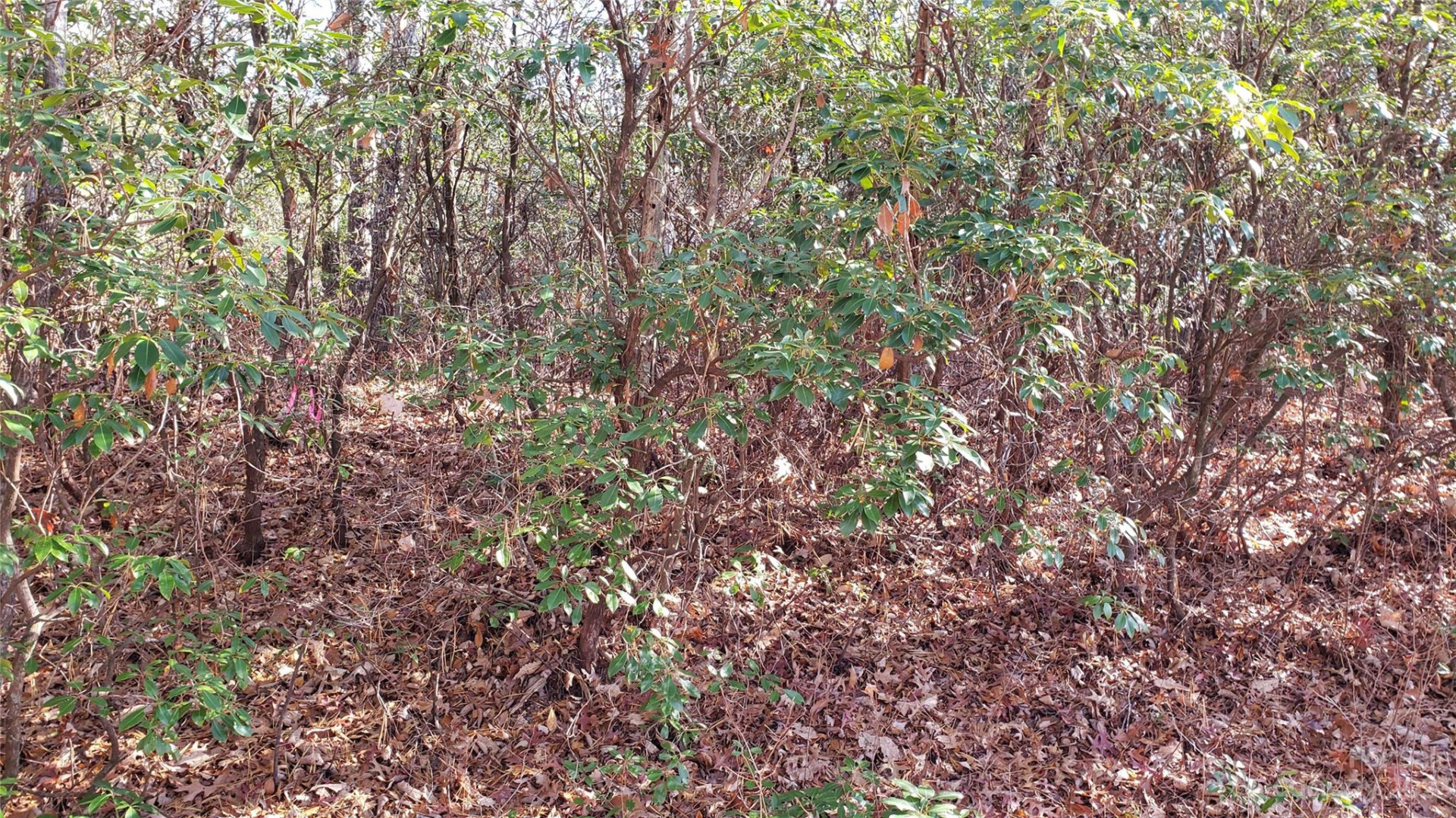 9999 Galax Lane #G-11 - Photo 22