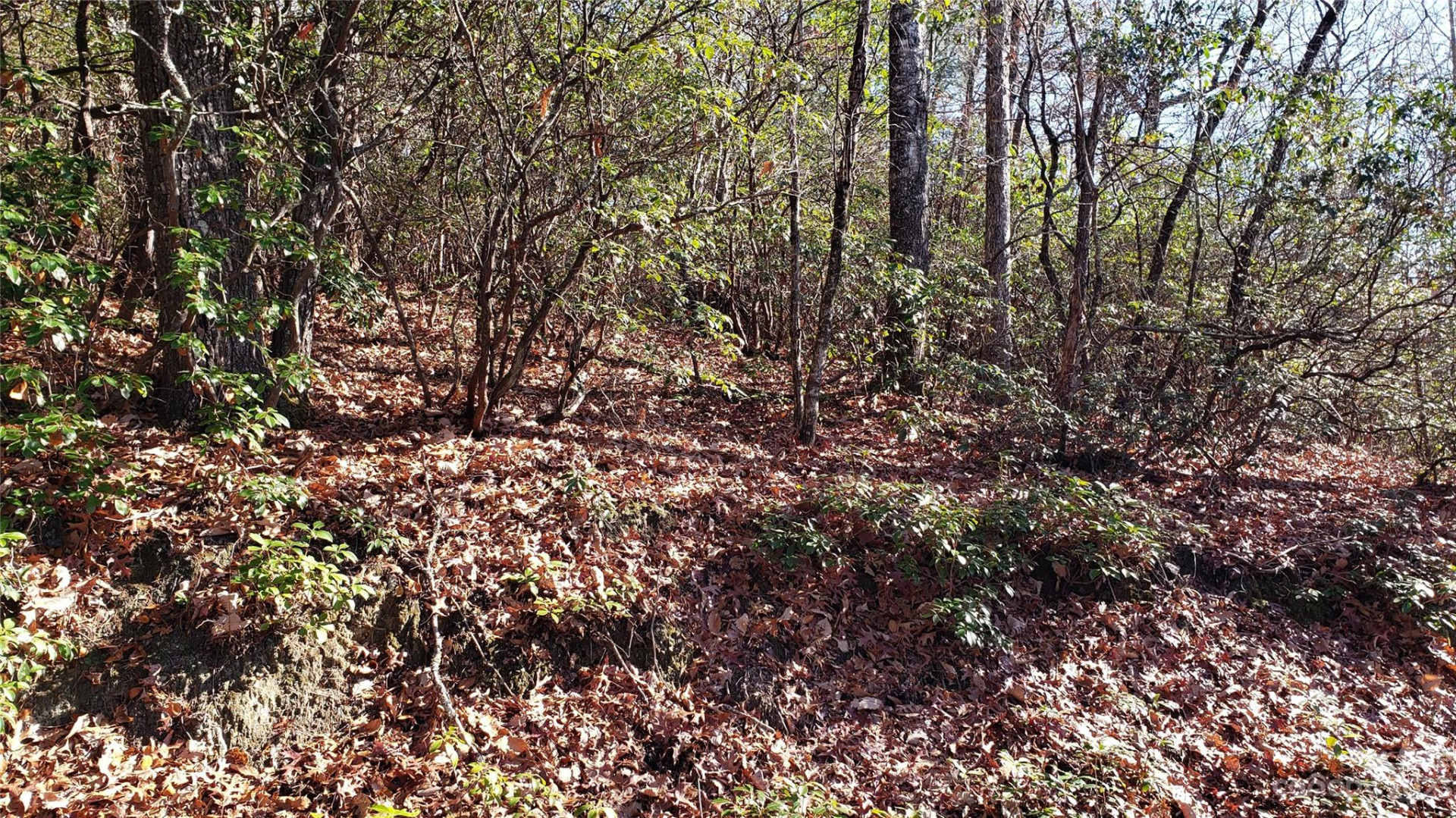 9999 Galax Lane #G-11 - Photo 23