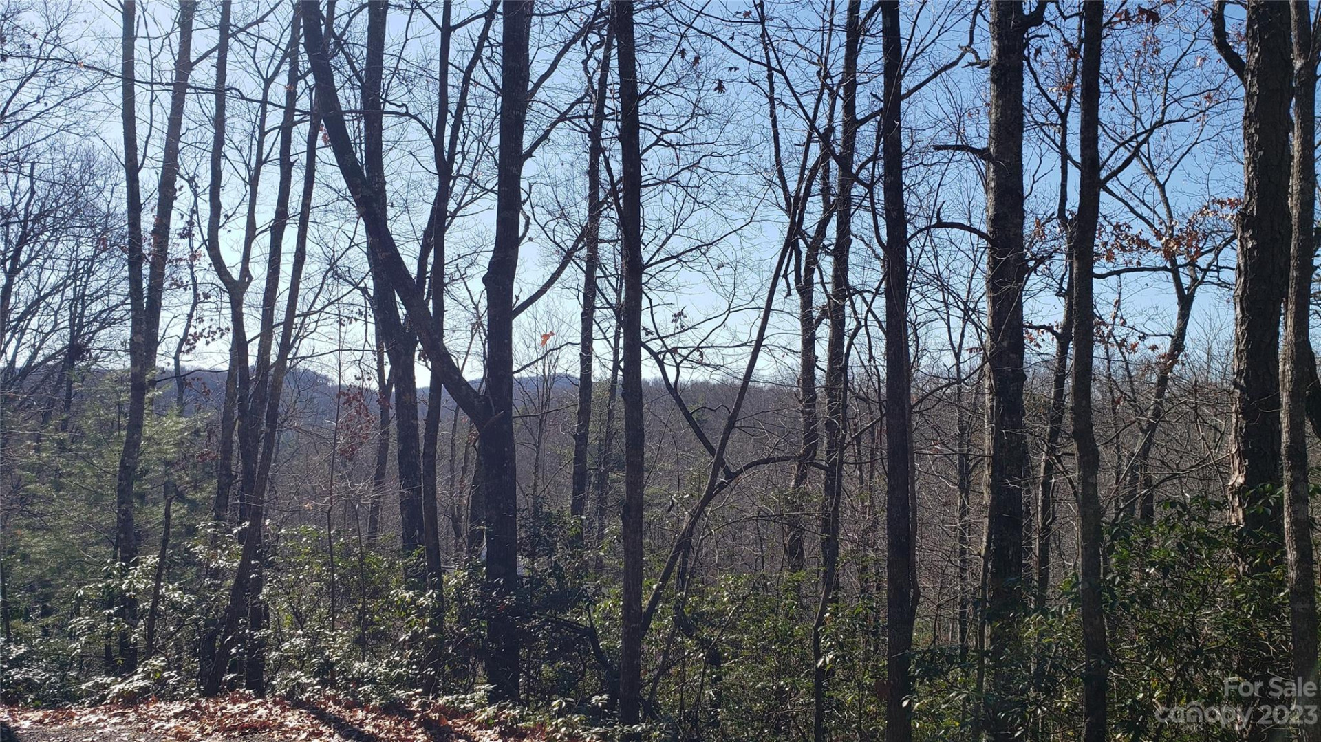 9999 Galax Lane #G-11 - Photo 24