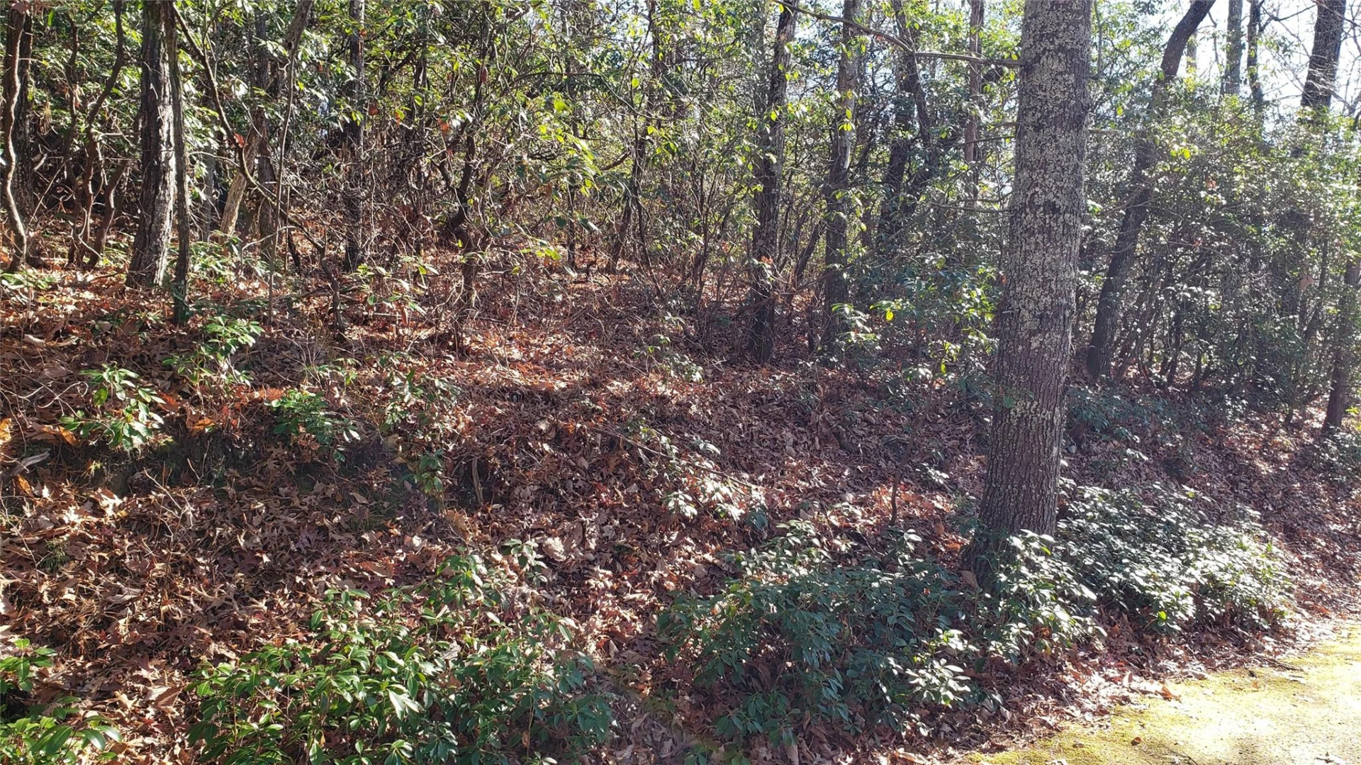 9999 Galax Lane #G-11 - Photo 25