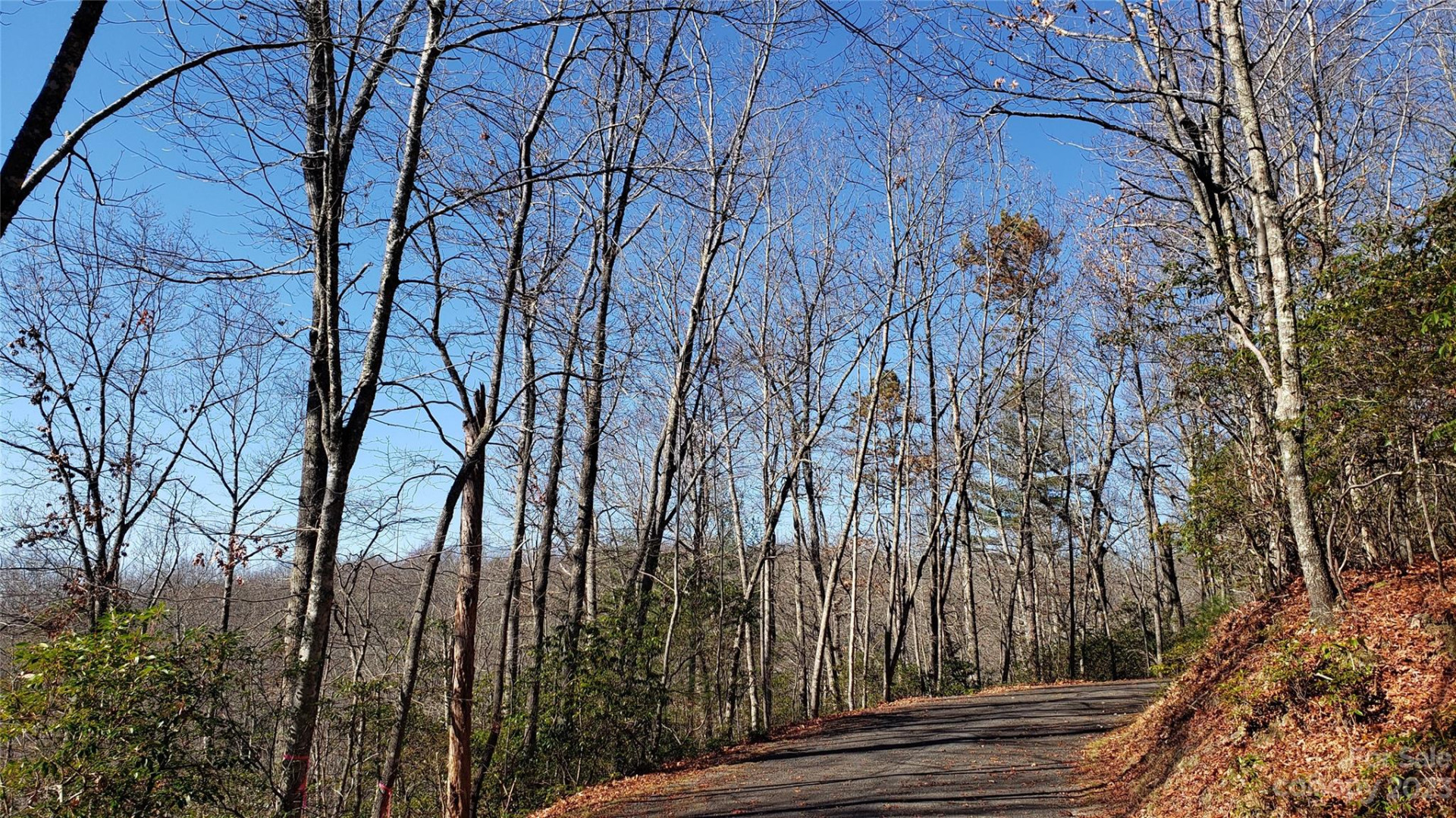 9999 Galax Lane #G-11 - Photo 26