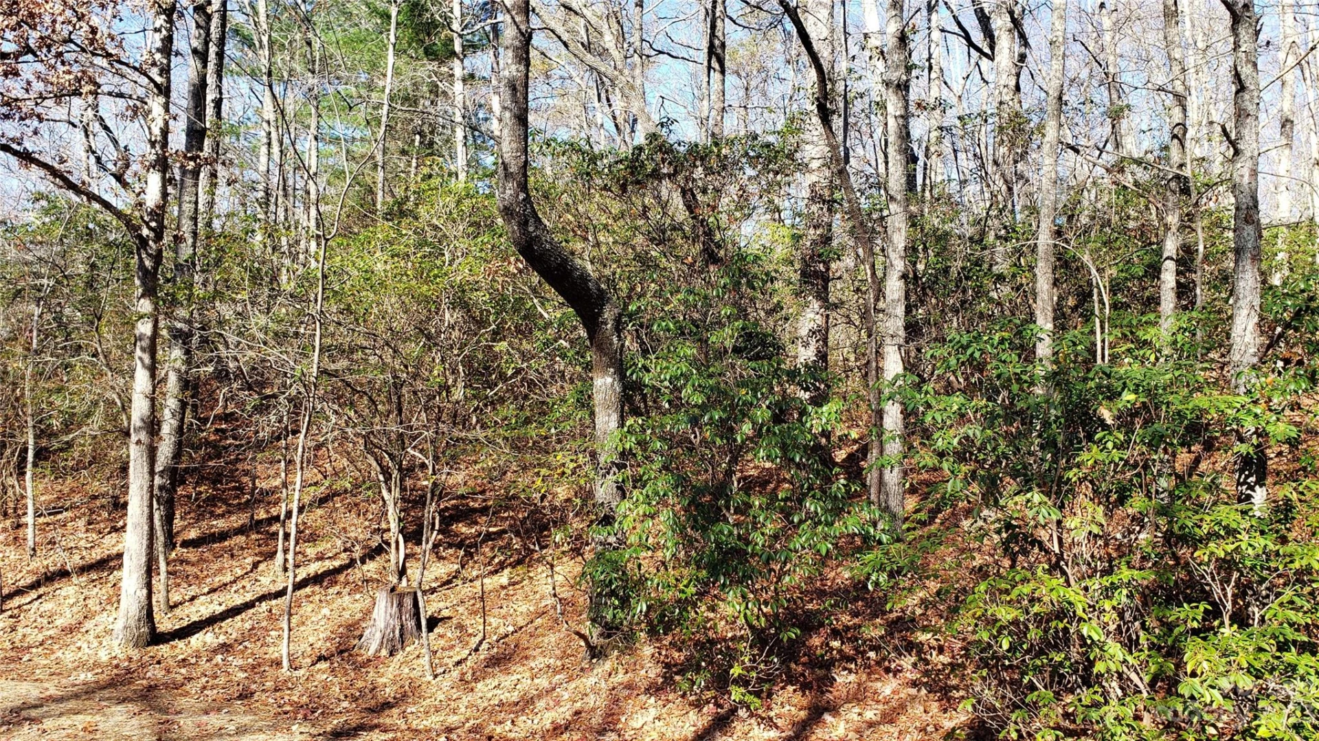9999 Galax Lane #G-11 - Photo 4