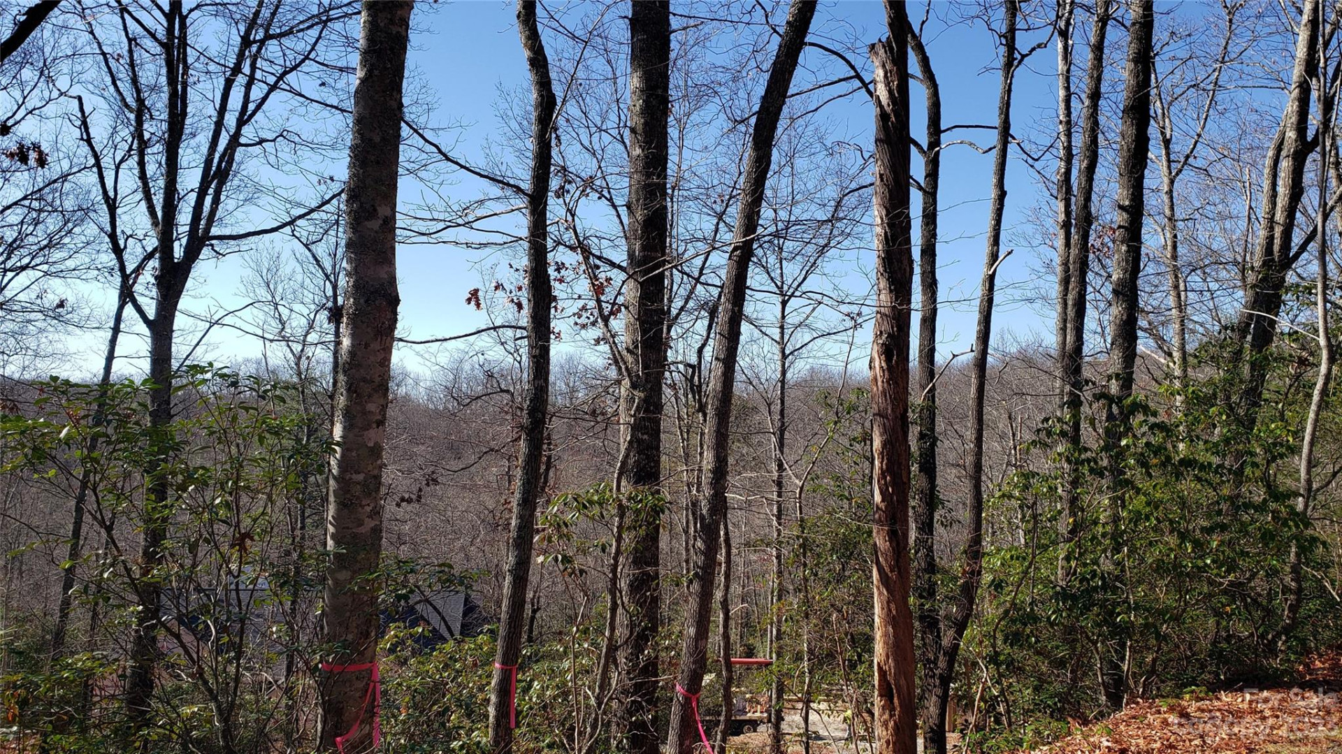 9999 Galax Lane #G-11 - Photo 5