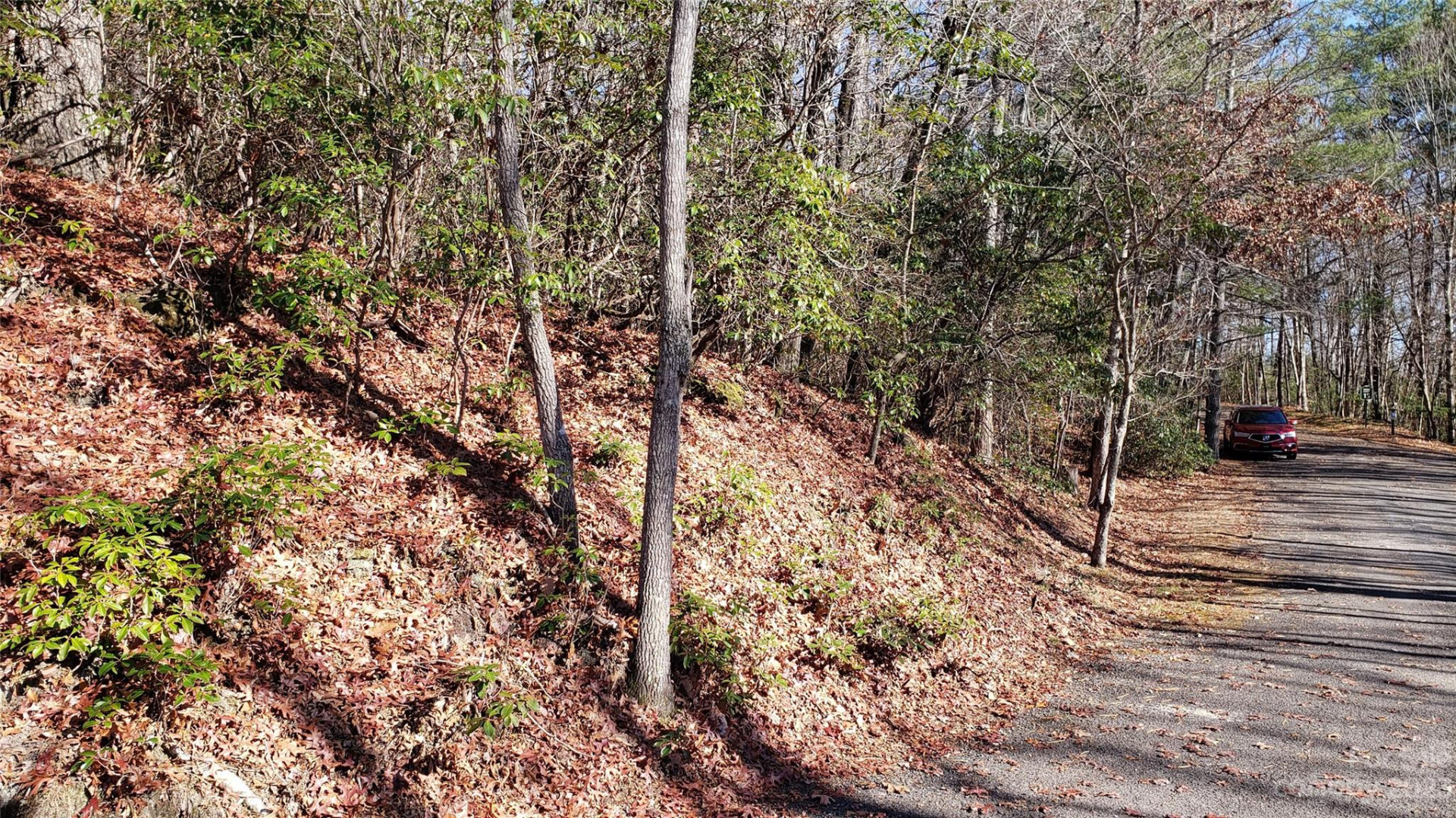 9999 Galax Lane #G-11 - Photo 6