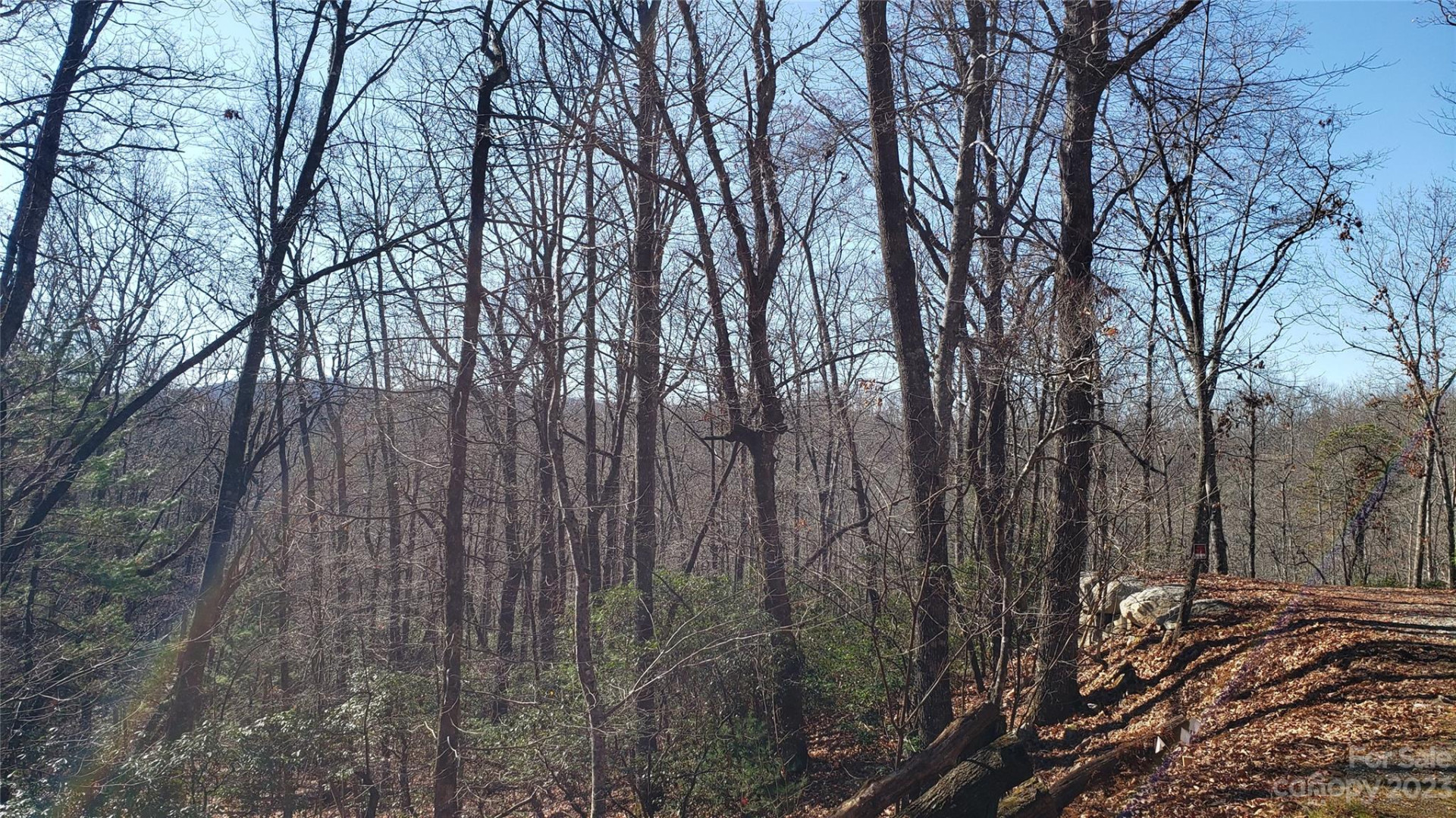 9999 Galax Lane #G-11 - Photo 7