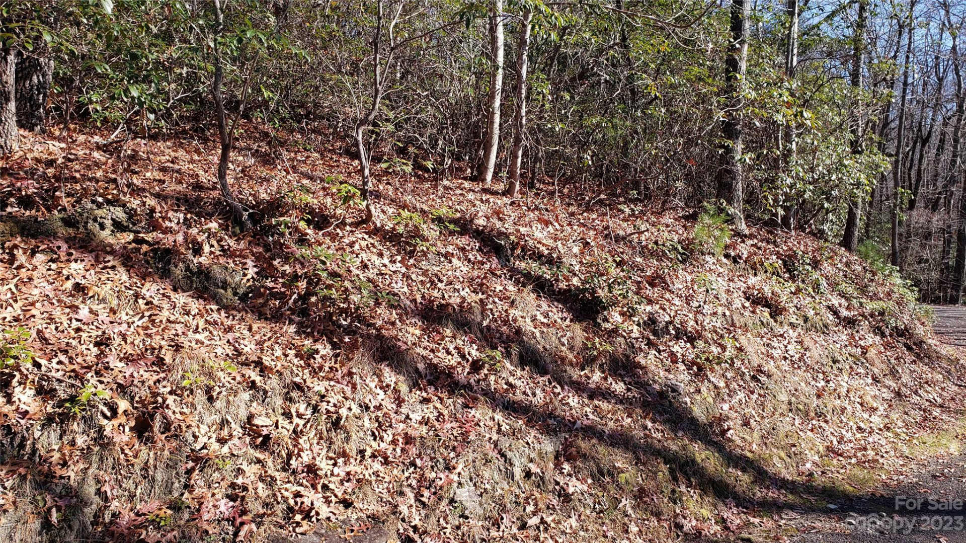 9999 Galax Lane #G-11 - Photo 8