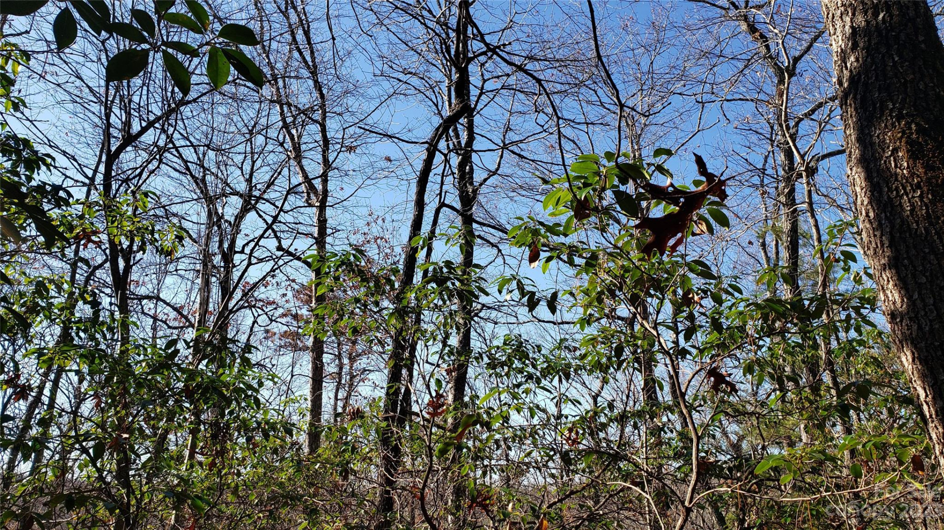 9999 Galax Lane #G-11 - Photo 9