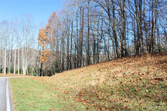 74 Poplar Forest Trace