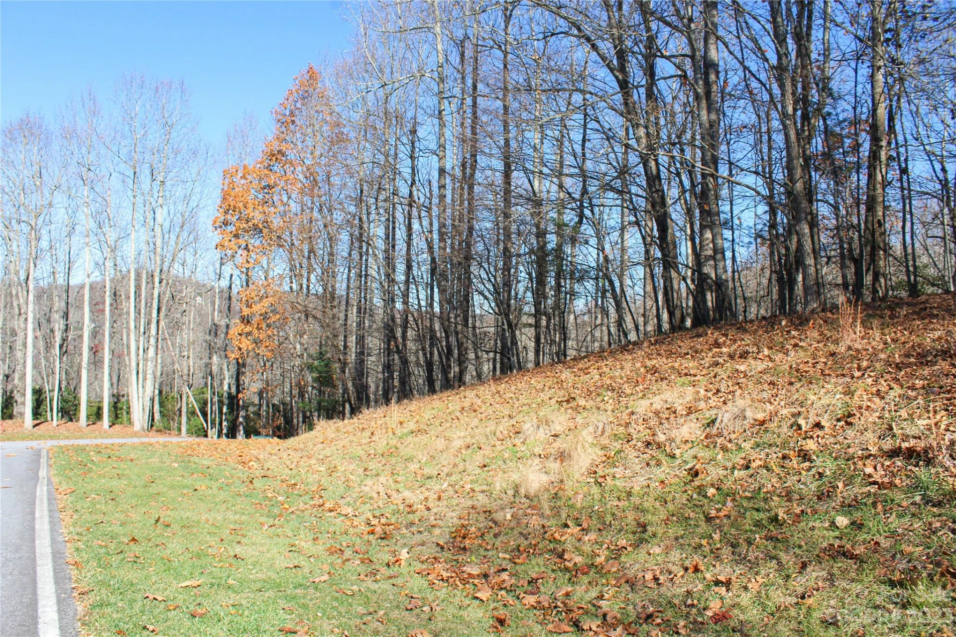 74 Poplar Forest Trace #107