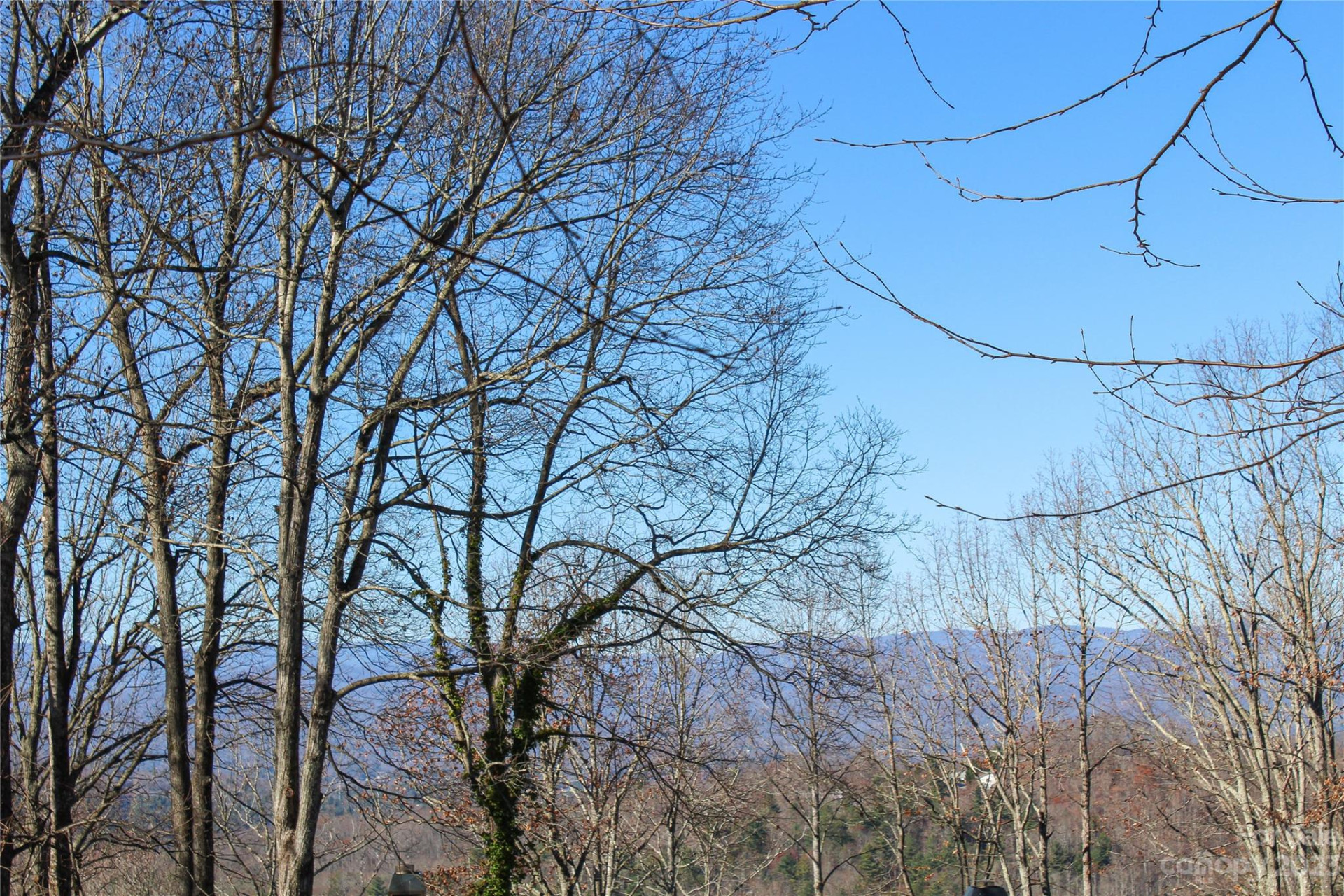 74 Poplar Forest Trace #107 - Photo 2