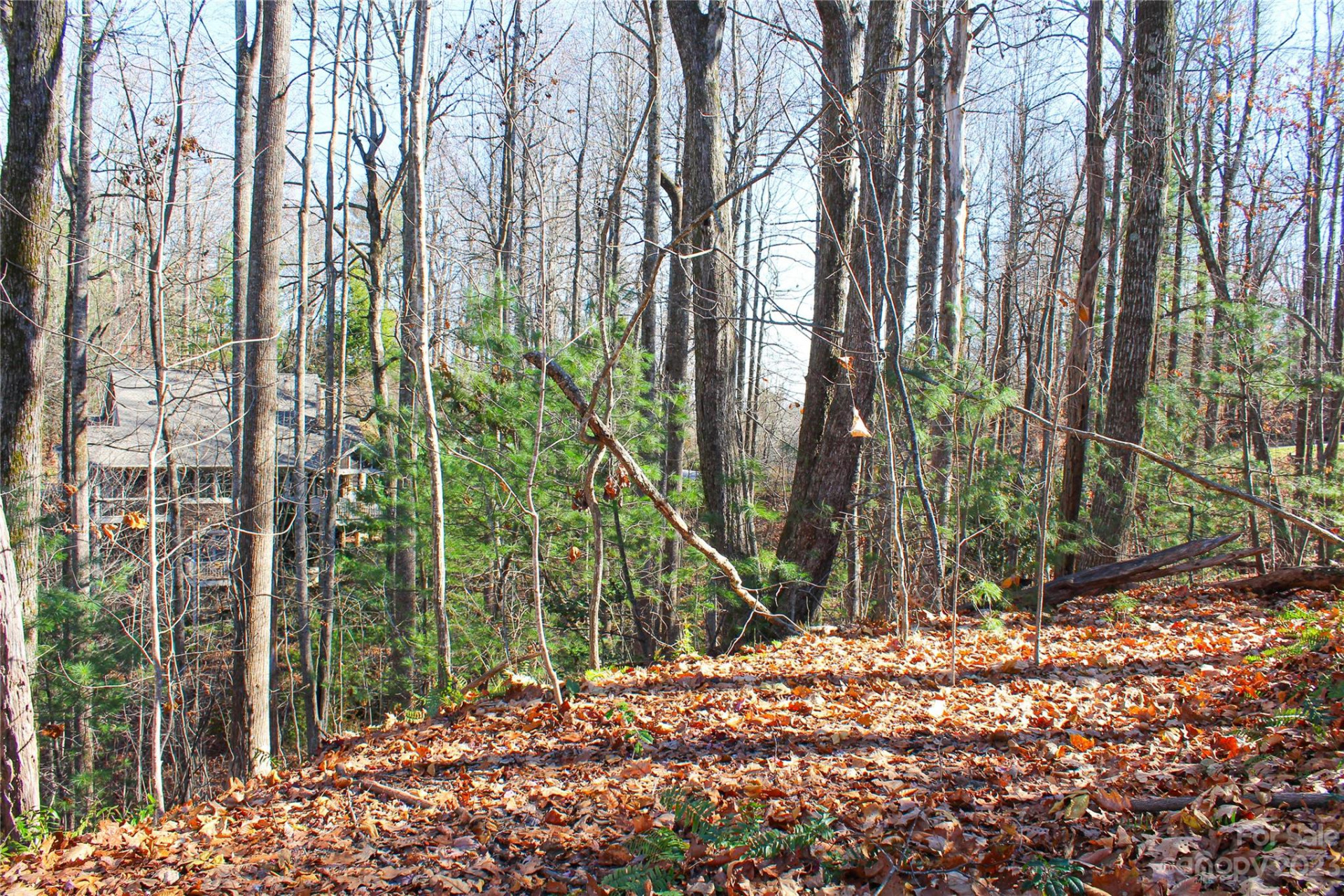 74 Poplar Forest Trace #107 - Photo 11