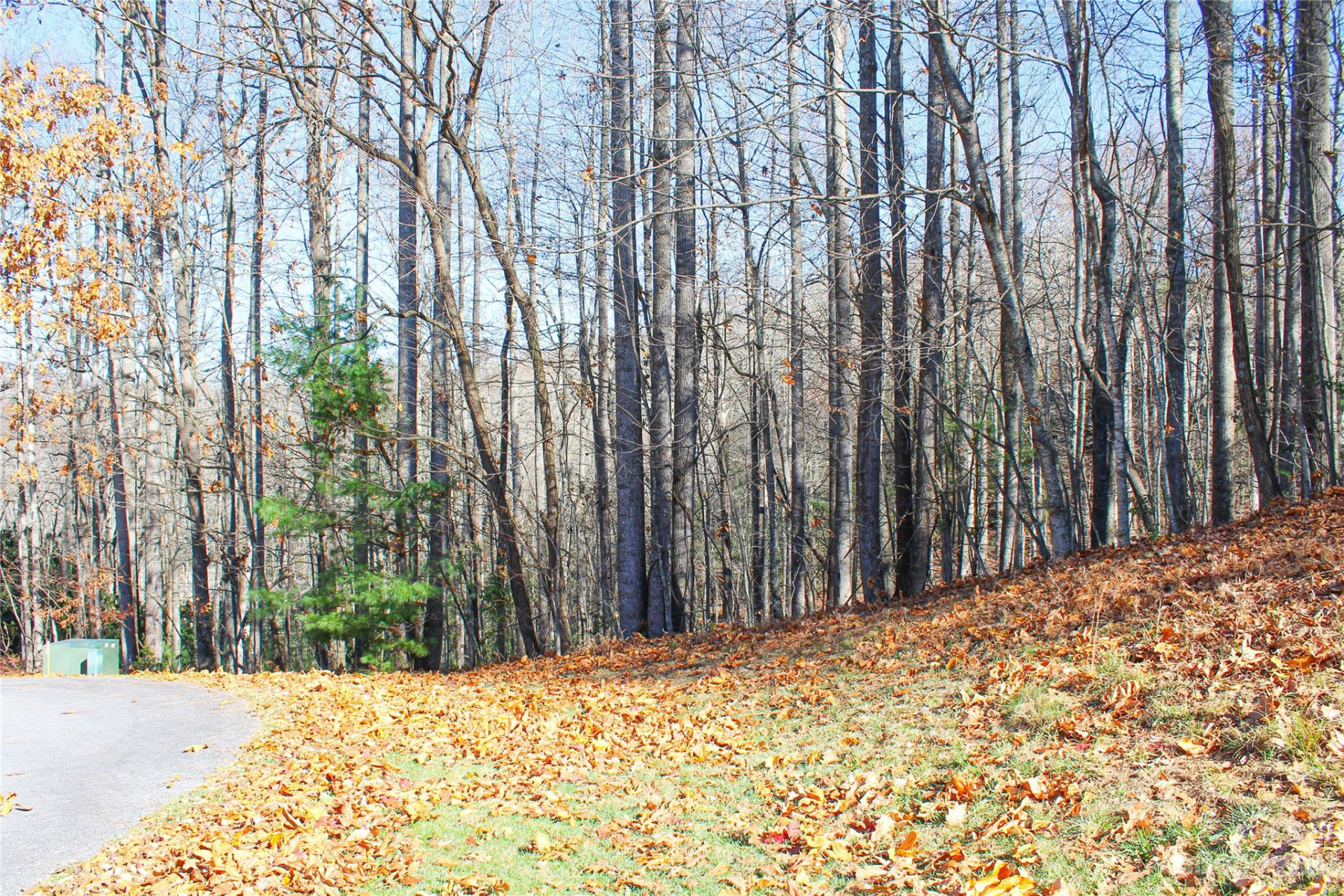 74 Poplar Forest Trace #107 - Photo 12