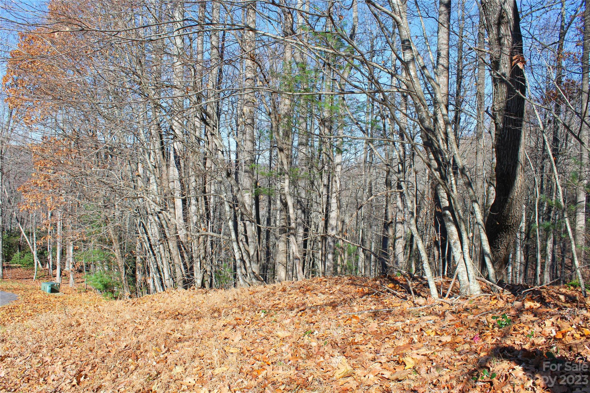 74 Poplar Forest Trace #107 - Photo 3