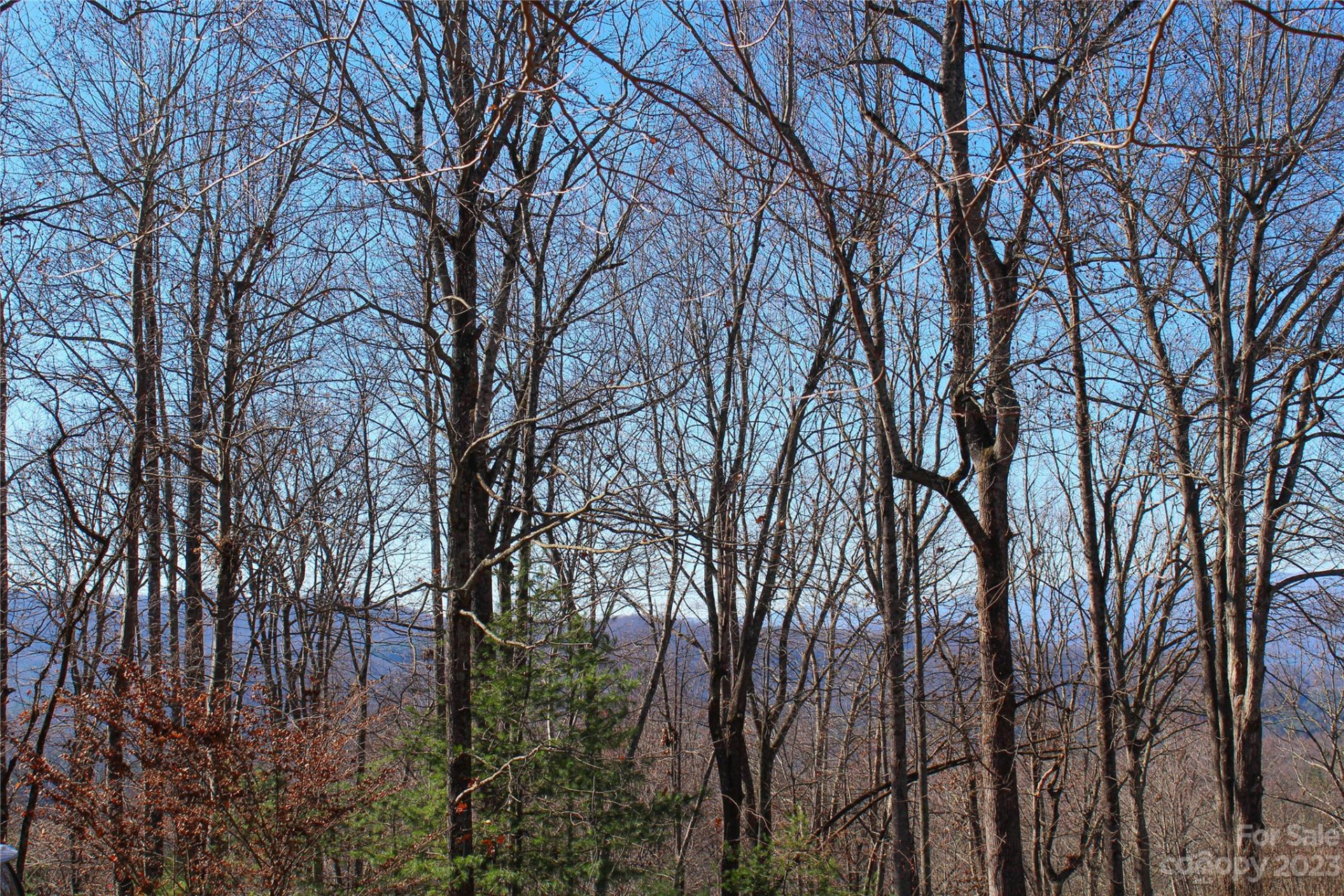 74 Poplar Forest Trace #107 - Photo 4